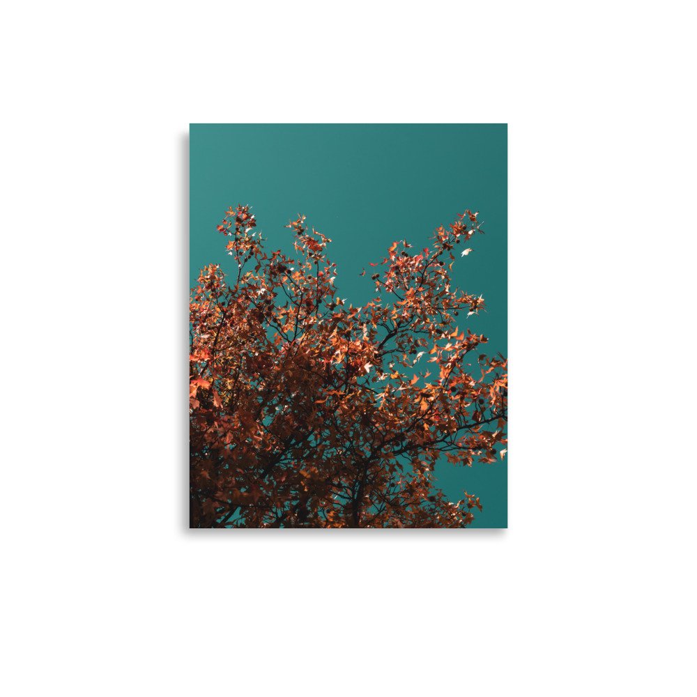 premium-luster-photo-paper-poster-(in)-11x14-front-655814f598950.jpg