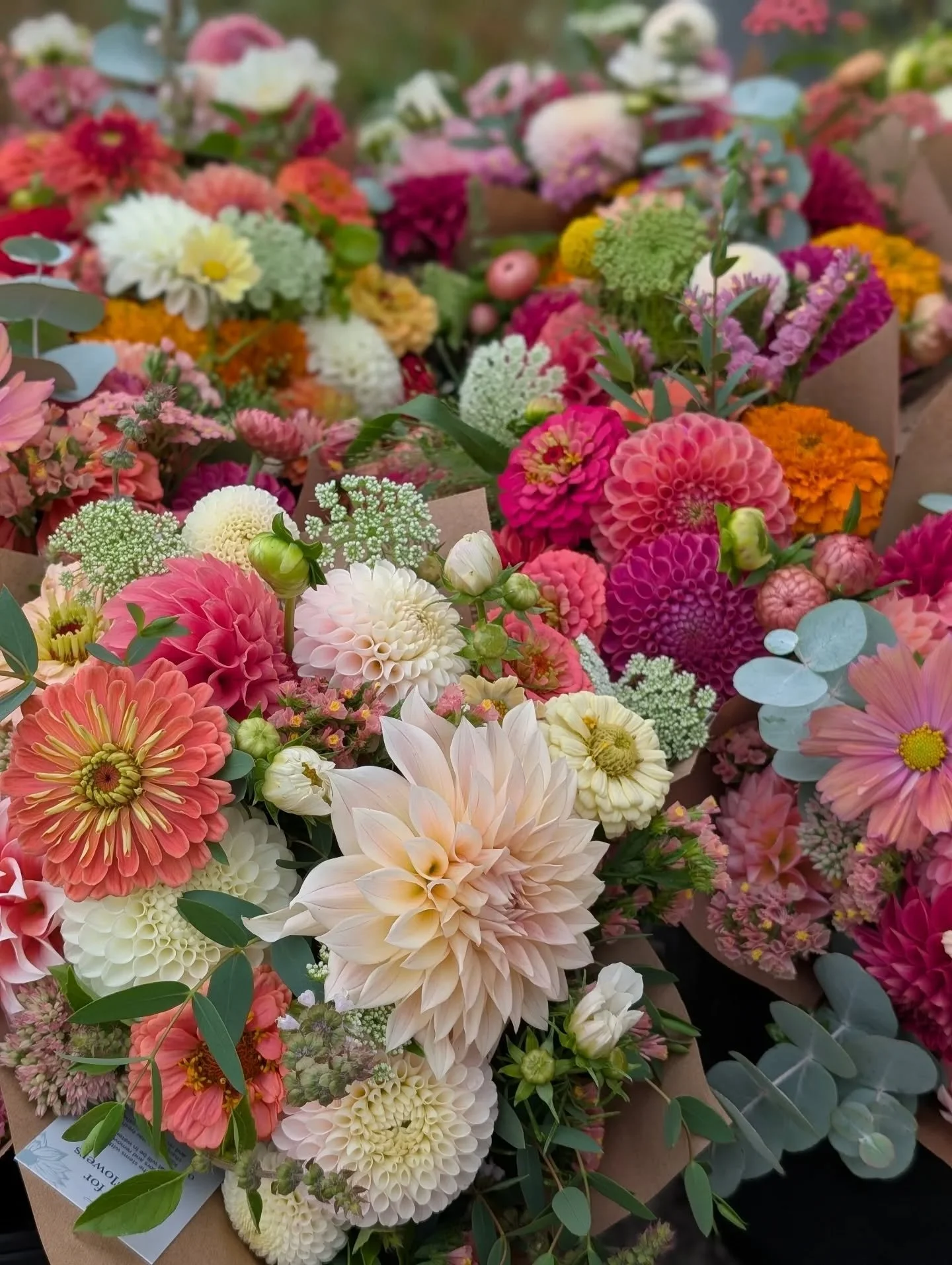 Looking back at 2025, our hearts (and buckets!) are so full. 🌻 This farm is a labor of love, and your support is what keeps us growing.
​Thank you for being part of our farm family this year. We can&rsquo;t wait to show you what we&rsquo;re planting