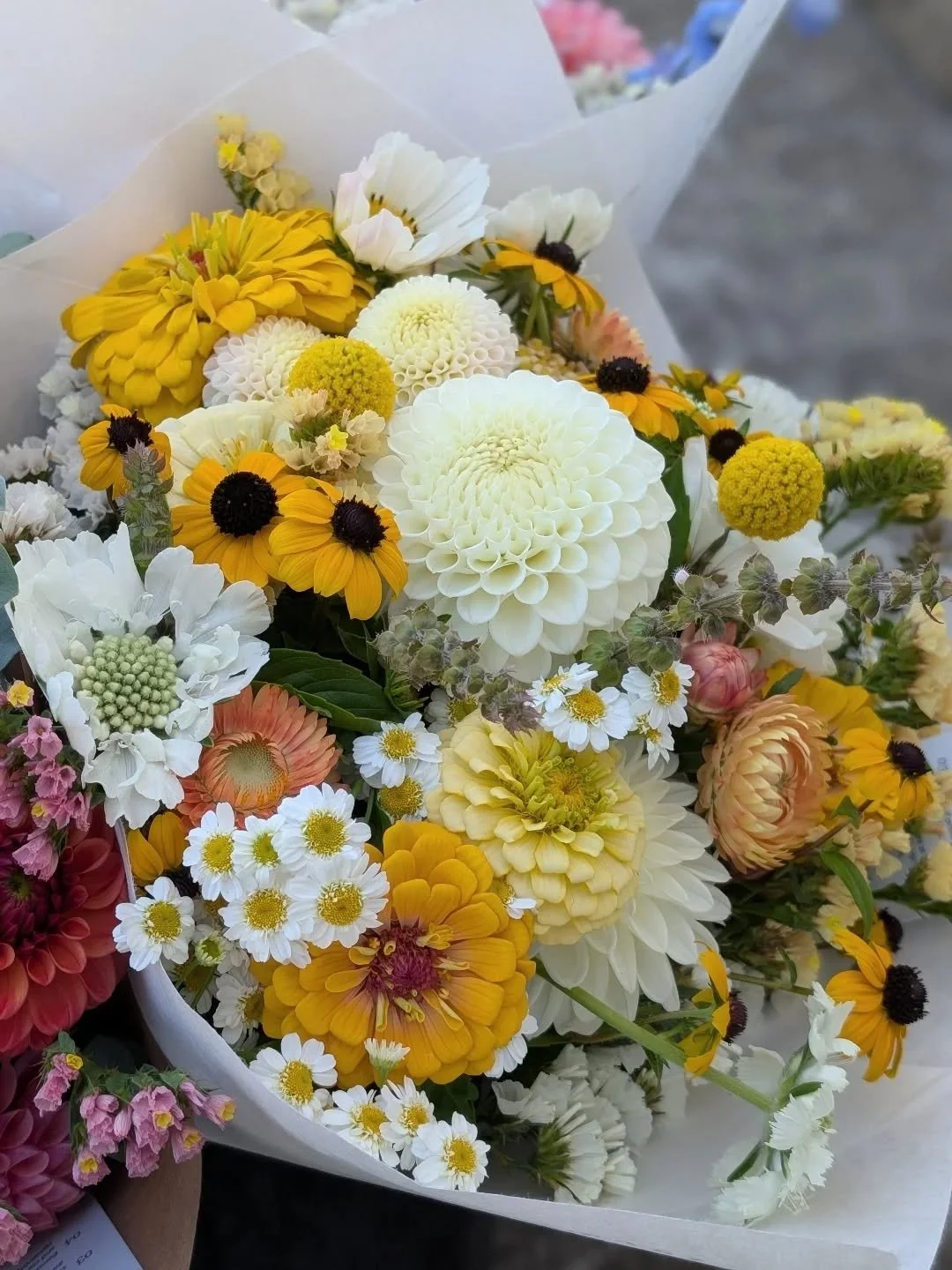 Just a little bit of flower sunshine for this very rainy first day of spring! 
#maywoodfarm #maywoodflowers #olympiaflowers