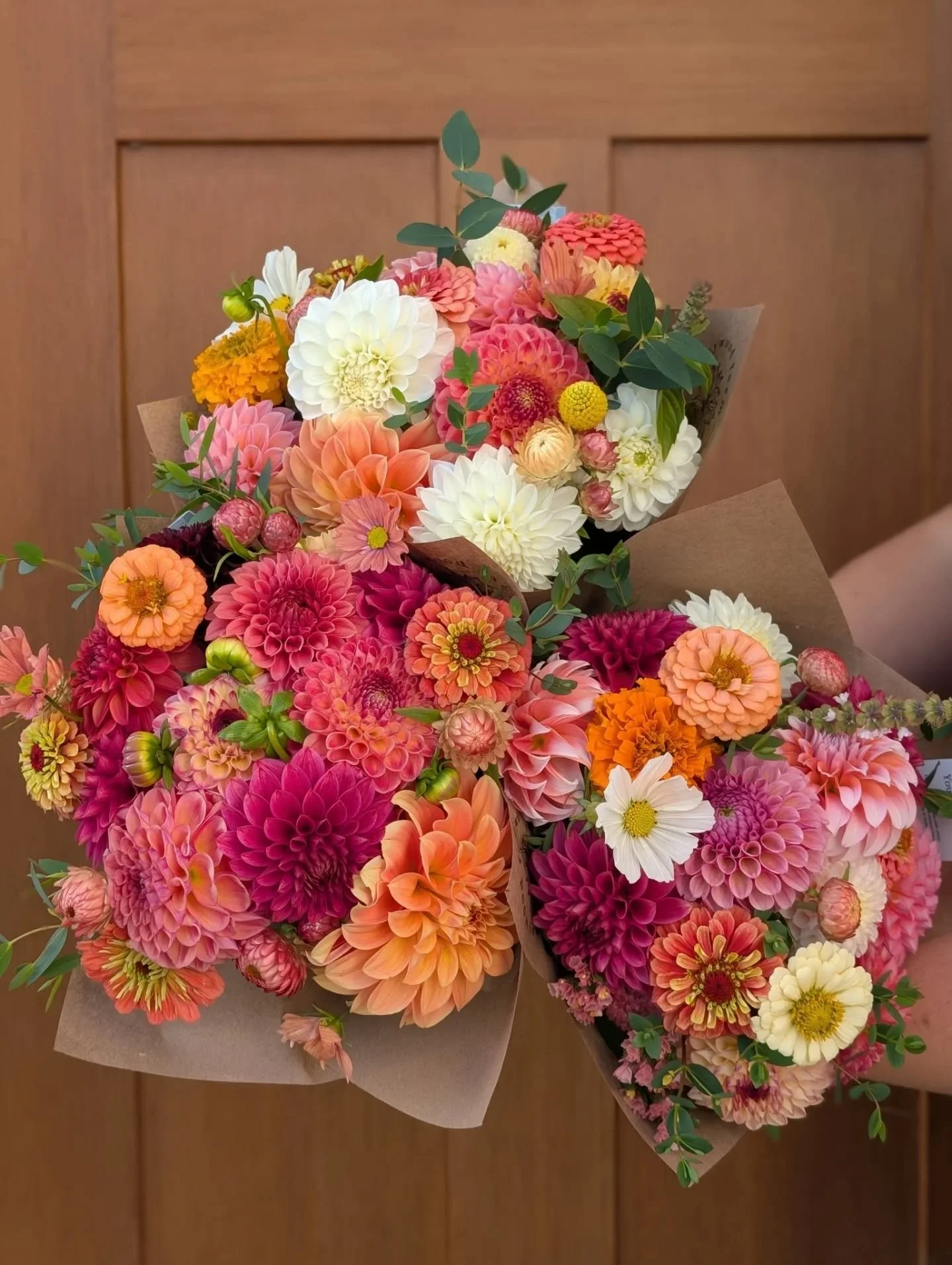 Wondering what dahlias go well together? Swipe for variety names and add them to your list! Our tuber sale opens on April 4th!

#maywoodfarm #maywoodflowers #olympiaflowers #dahliatubers