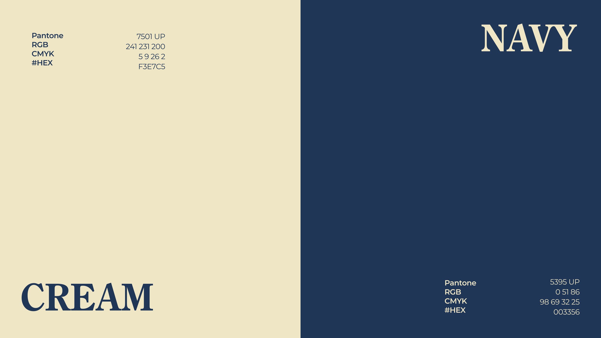 main color.jpg