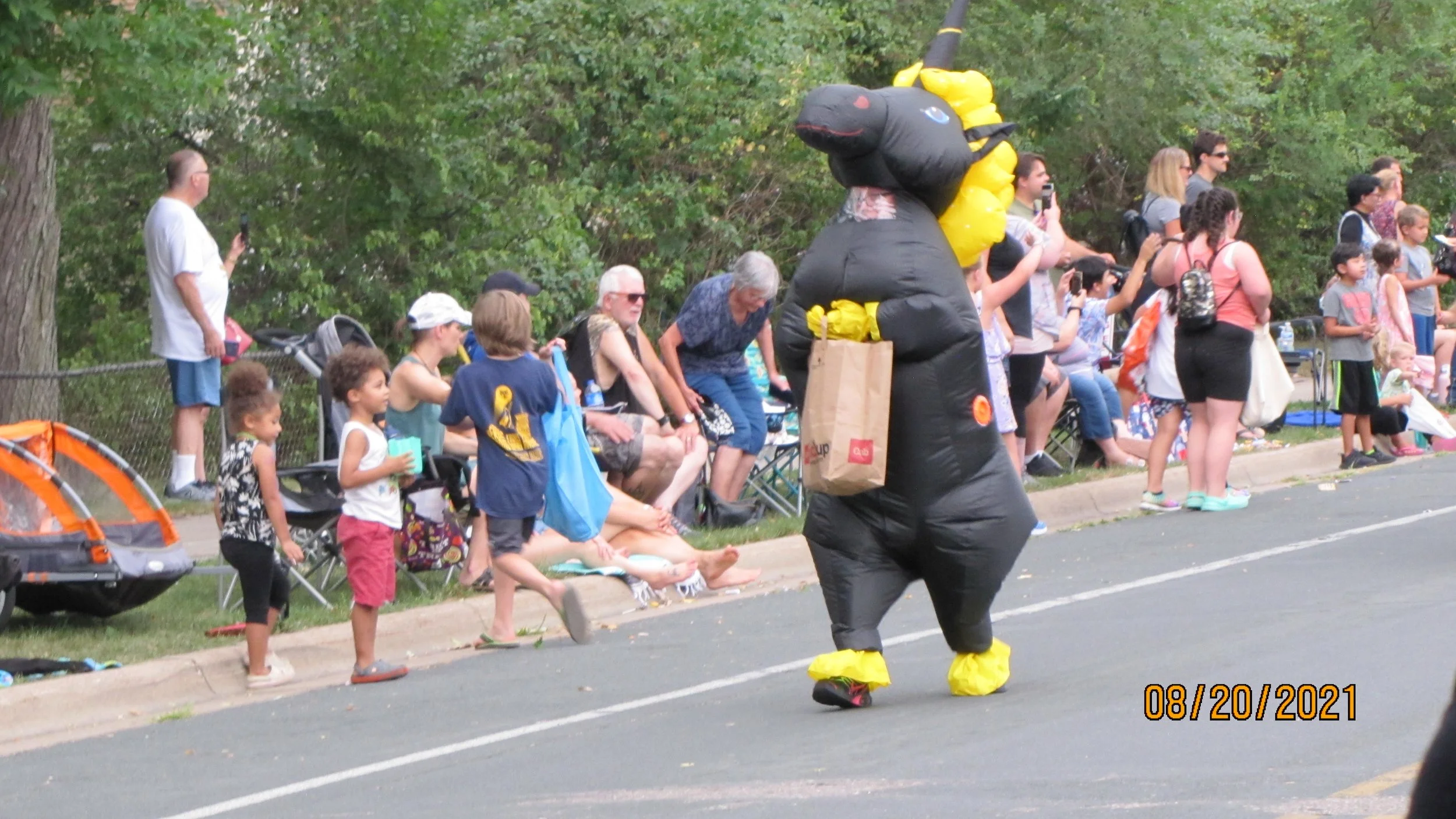 Mounds View Festival in the Park