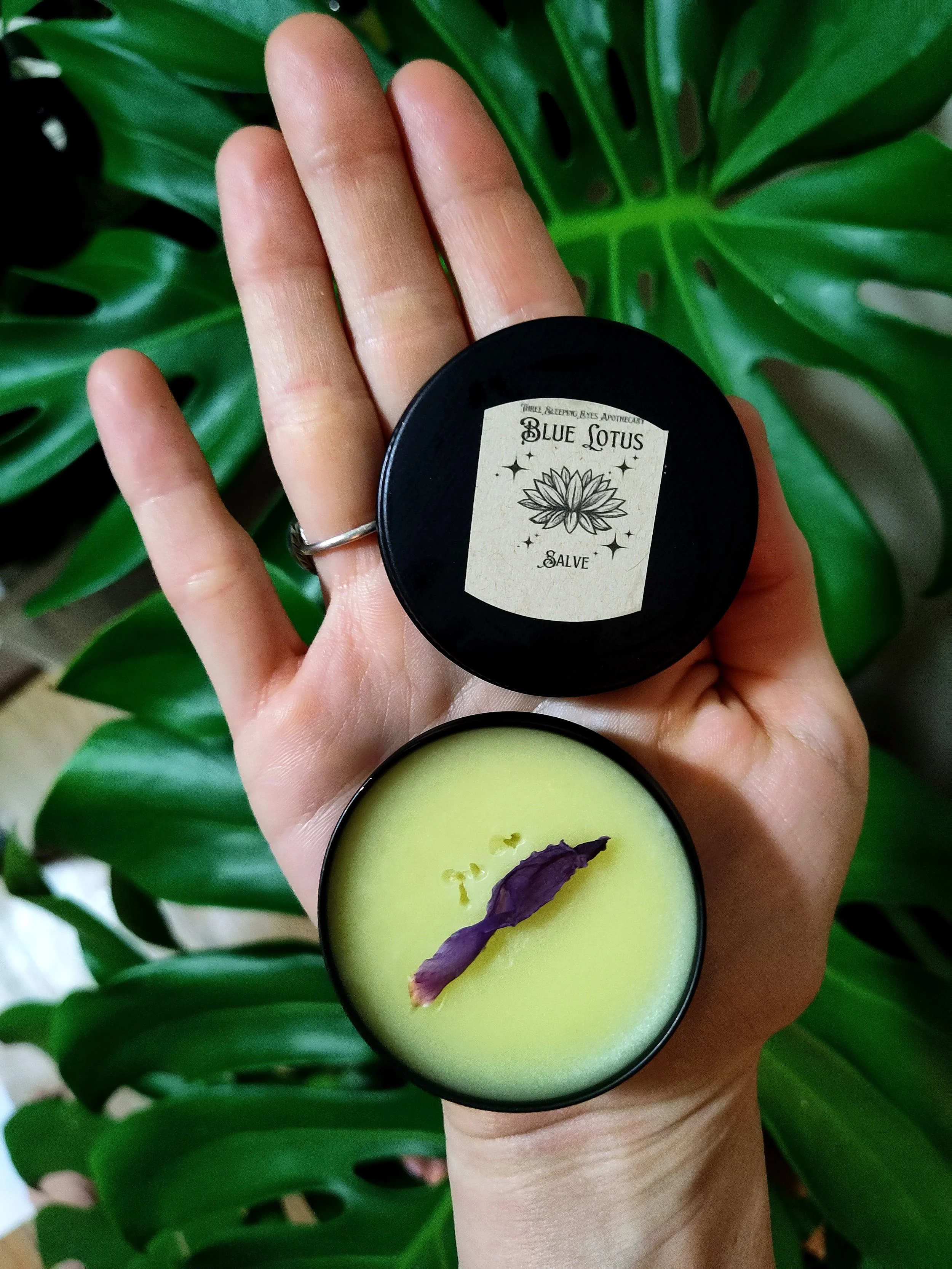 White Sage Salve (Salvia apiana) Organic — Three Sleeping Eyes