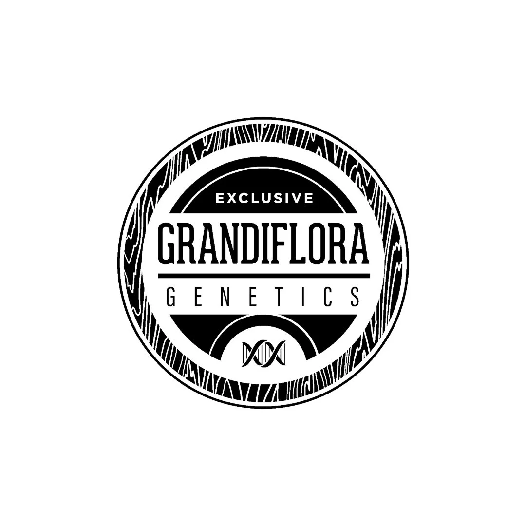 Grandiflora Genetics Logo.jpeg