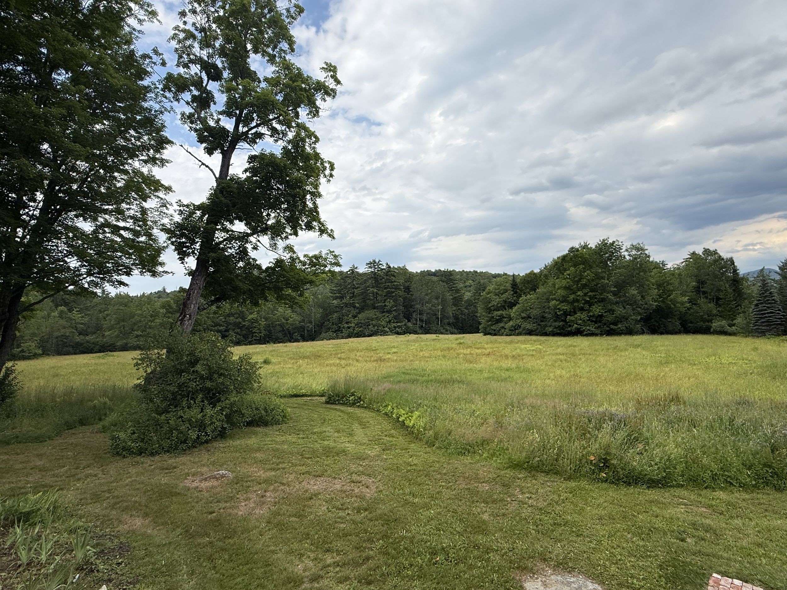 DINA Lodge back lawn, field, and forest in Bethlehem NH