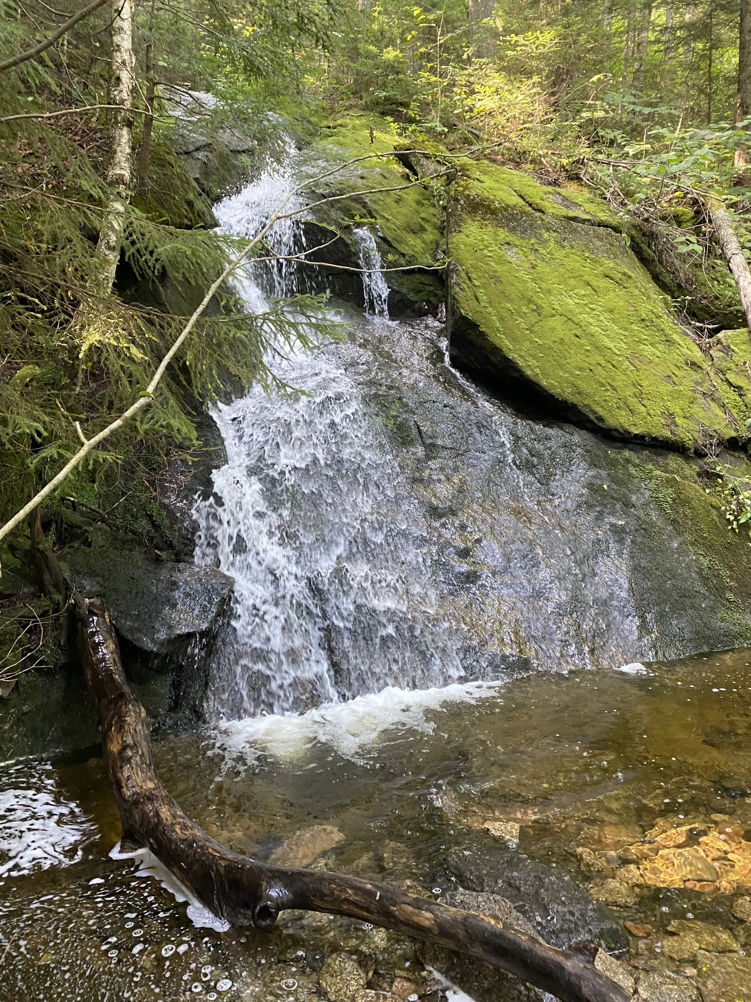 A mountain stream in Franconia, New Hampshire