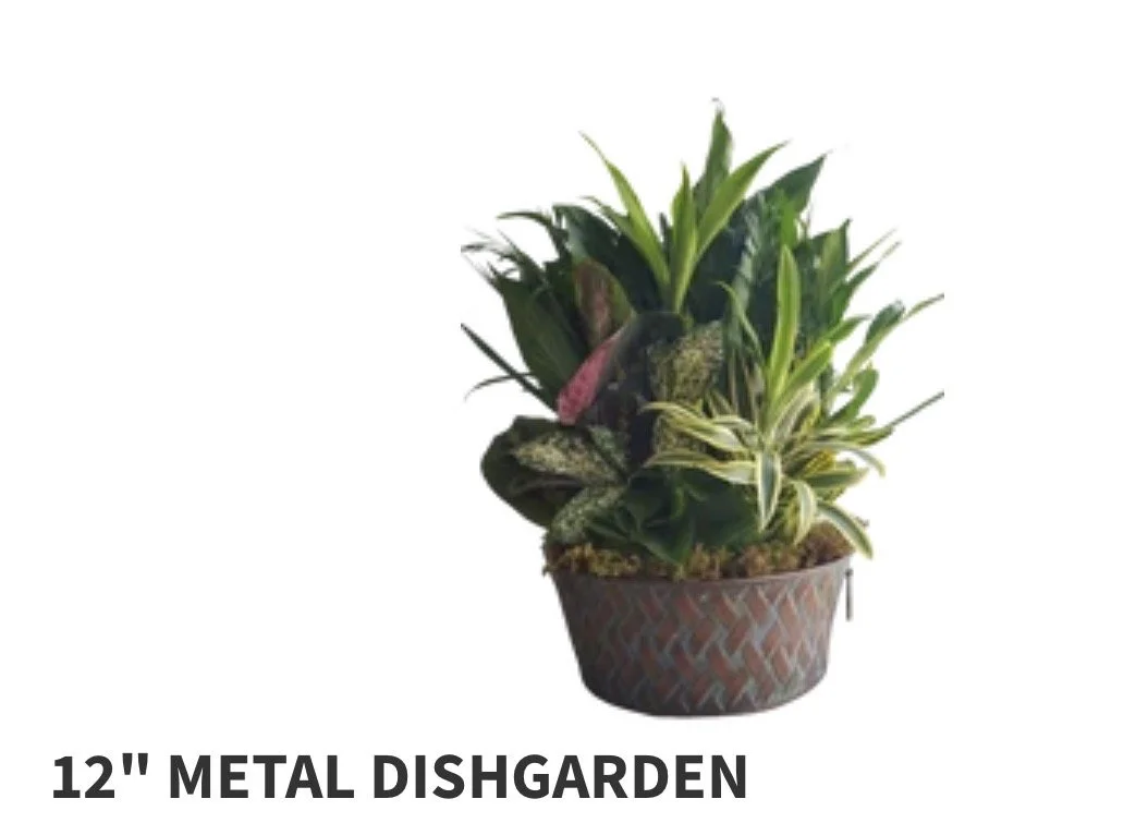 12" Metal Dish Garden