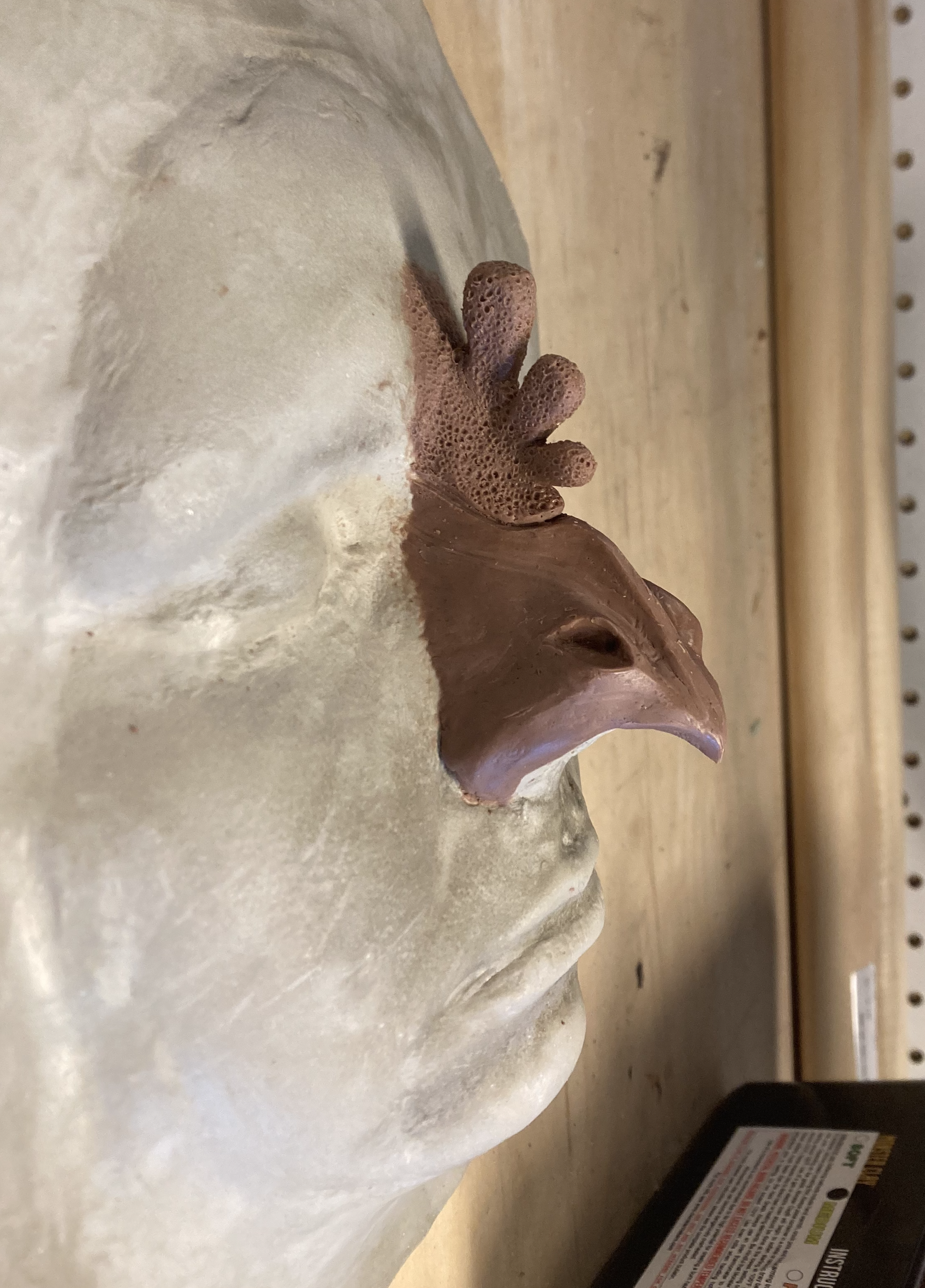 Screen Shot 2024-01-05 at 3.38.20 PM.png