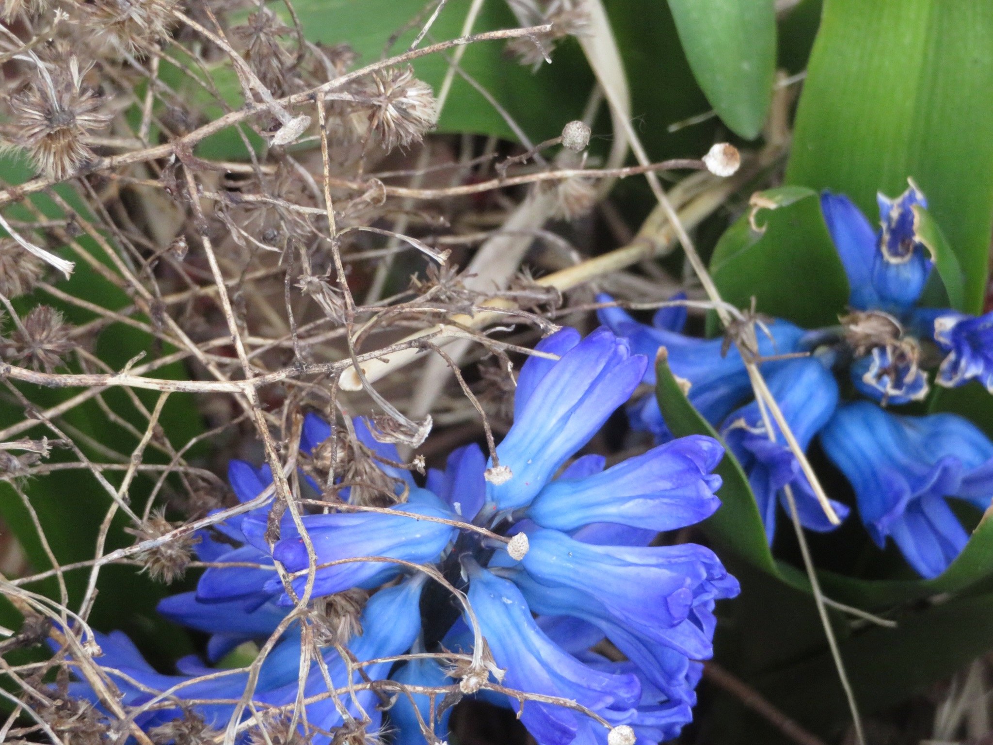 IMG_1027.jpeg