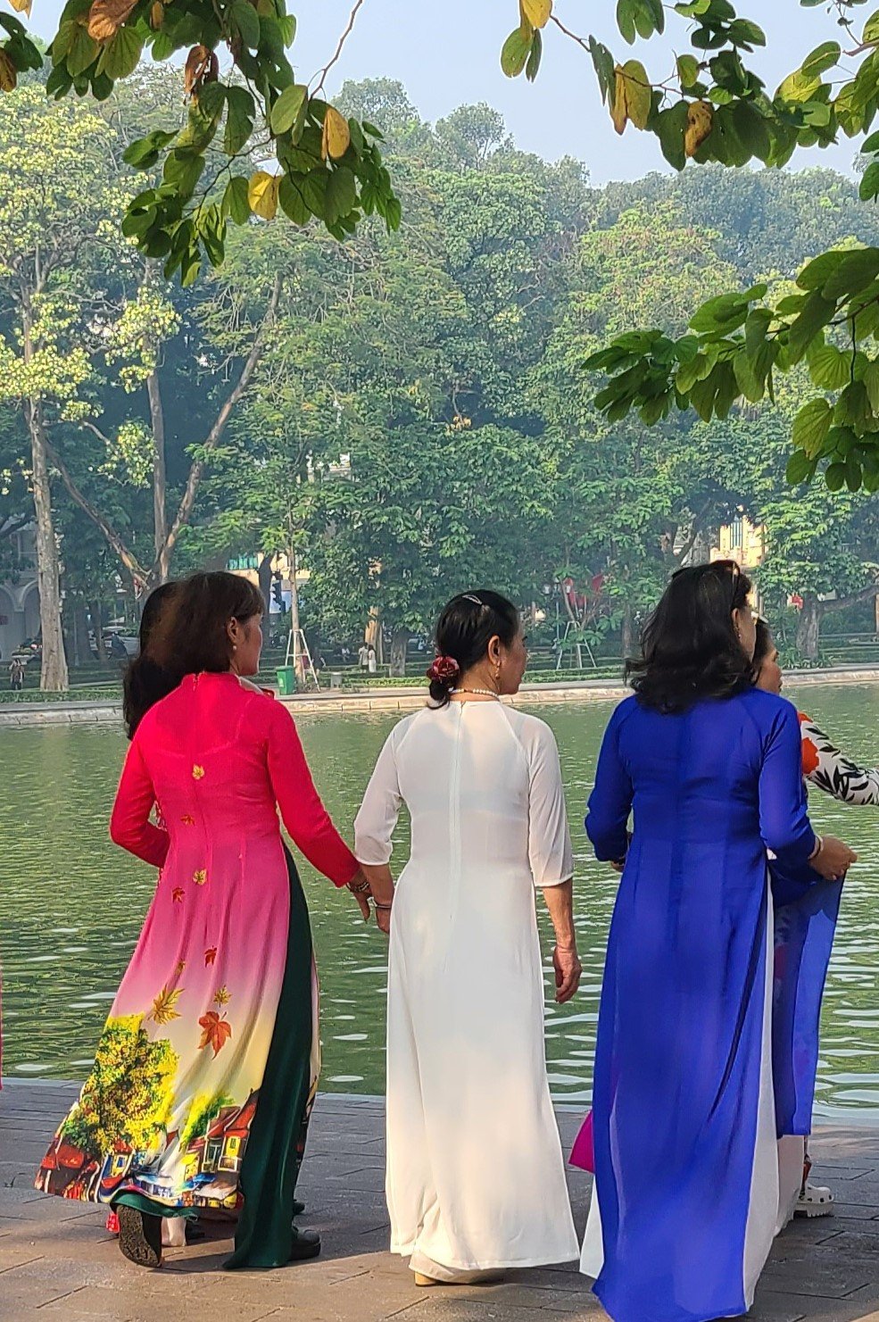 20241011_maple leaf.jpg