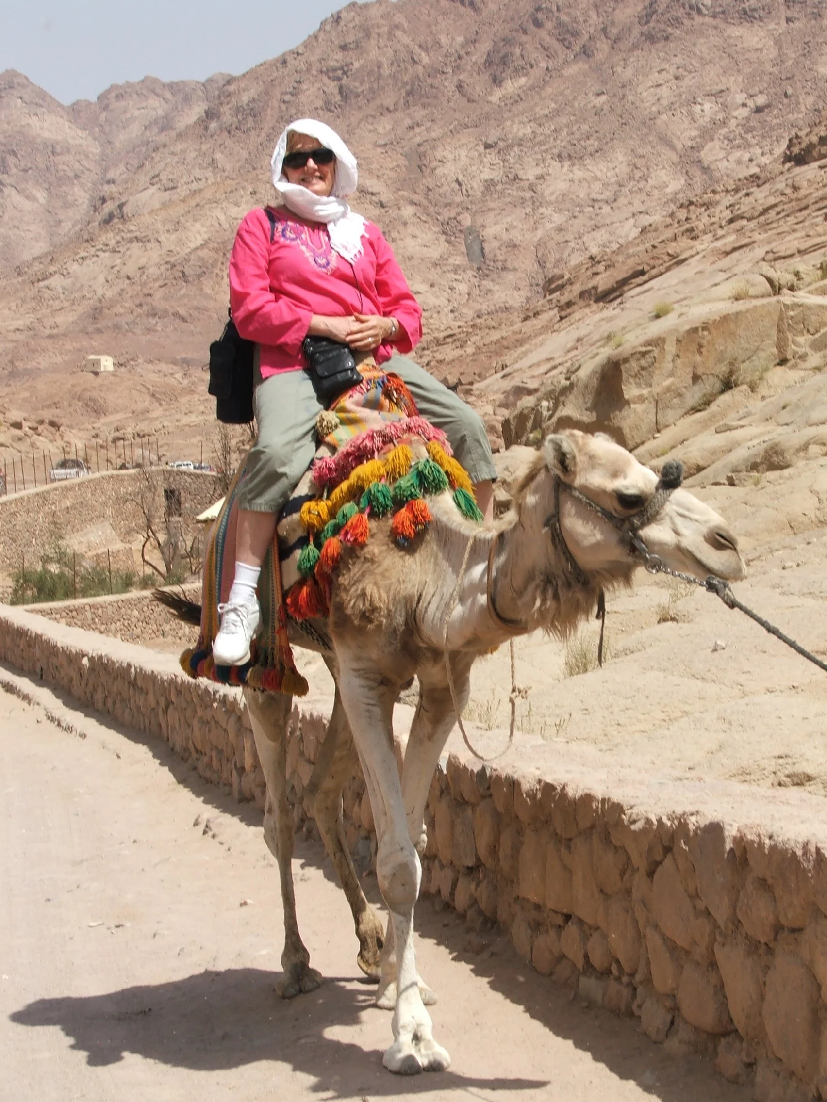 Sinai and Luxor 2010 003.JPG