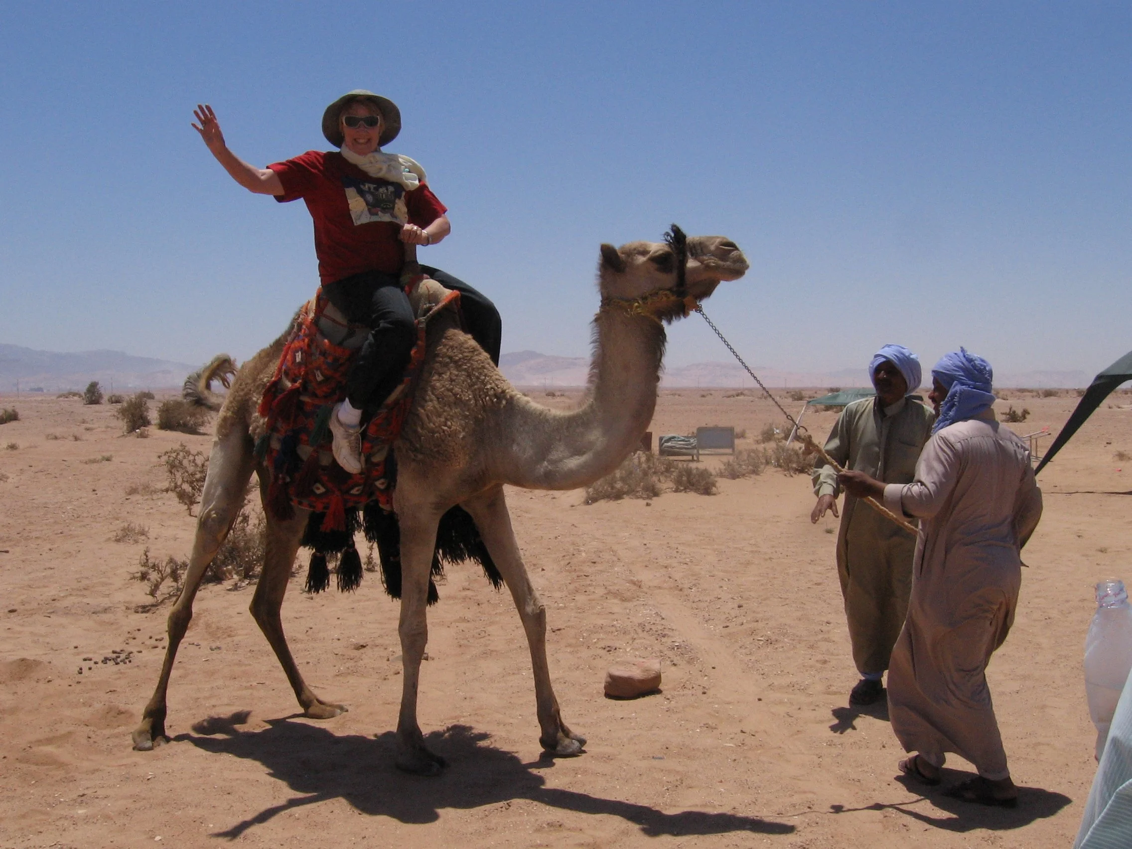 Sinai on site, 2008
