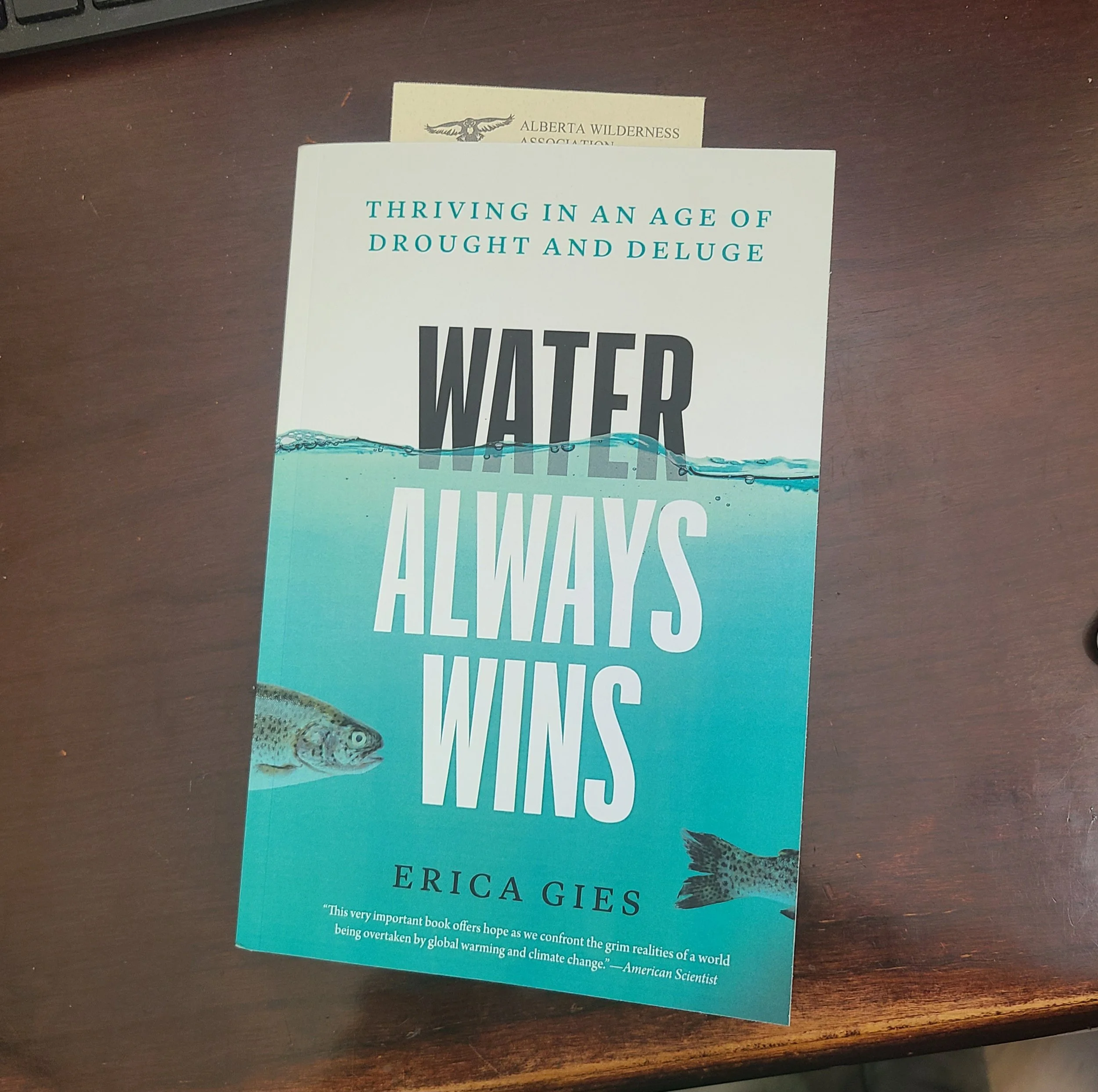 Review: Water Always Wins