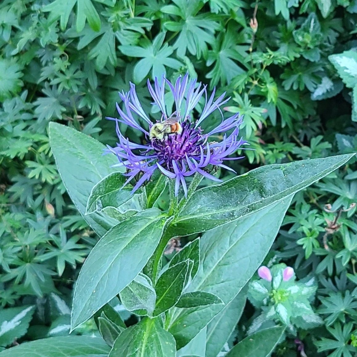 20250812_163335.jpg
