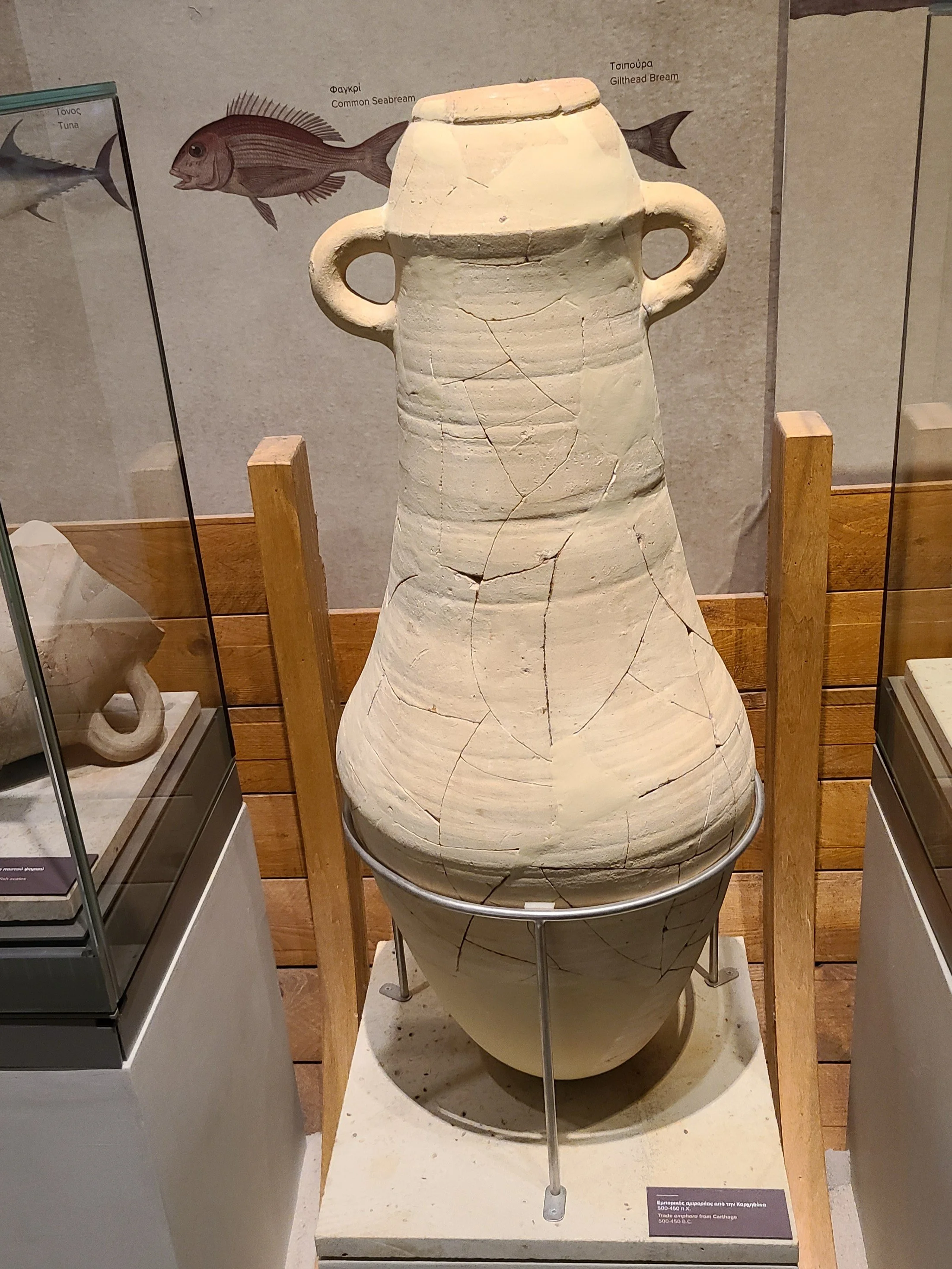 Trade amphora fr Carthage (500-450 BC)