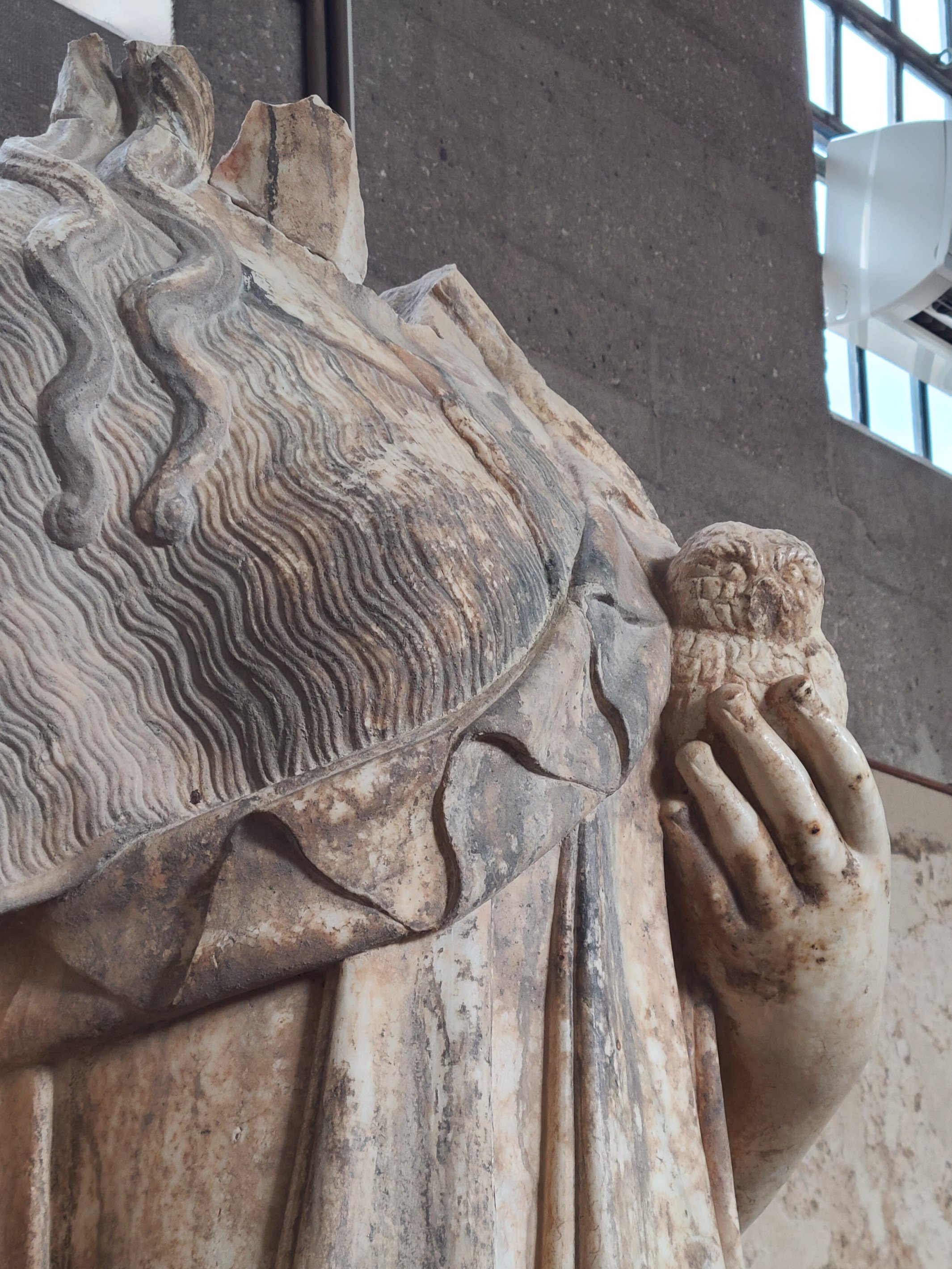 Close up of Athena holding an owl
