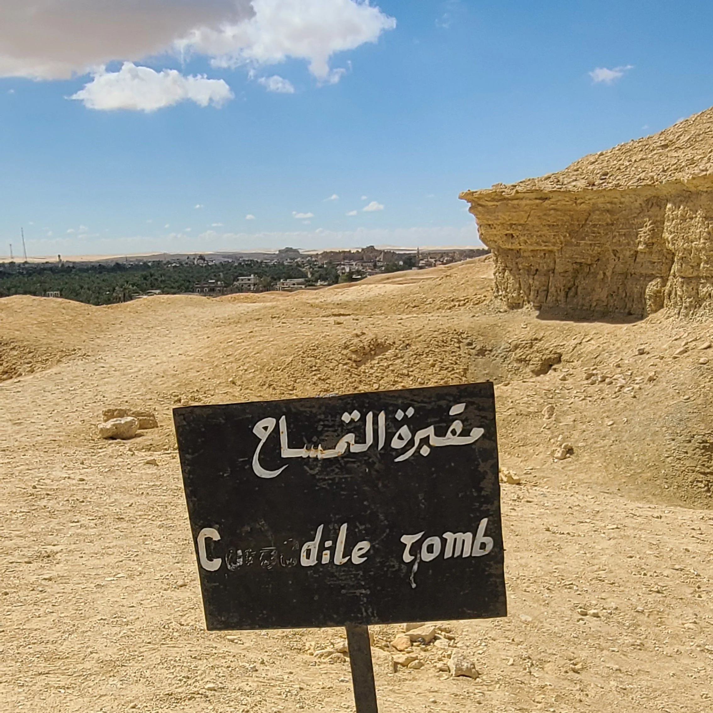 The Crocodile in Egypt
