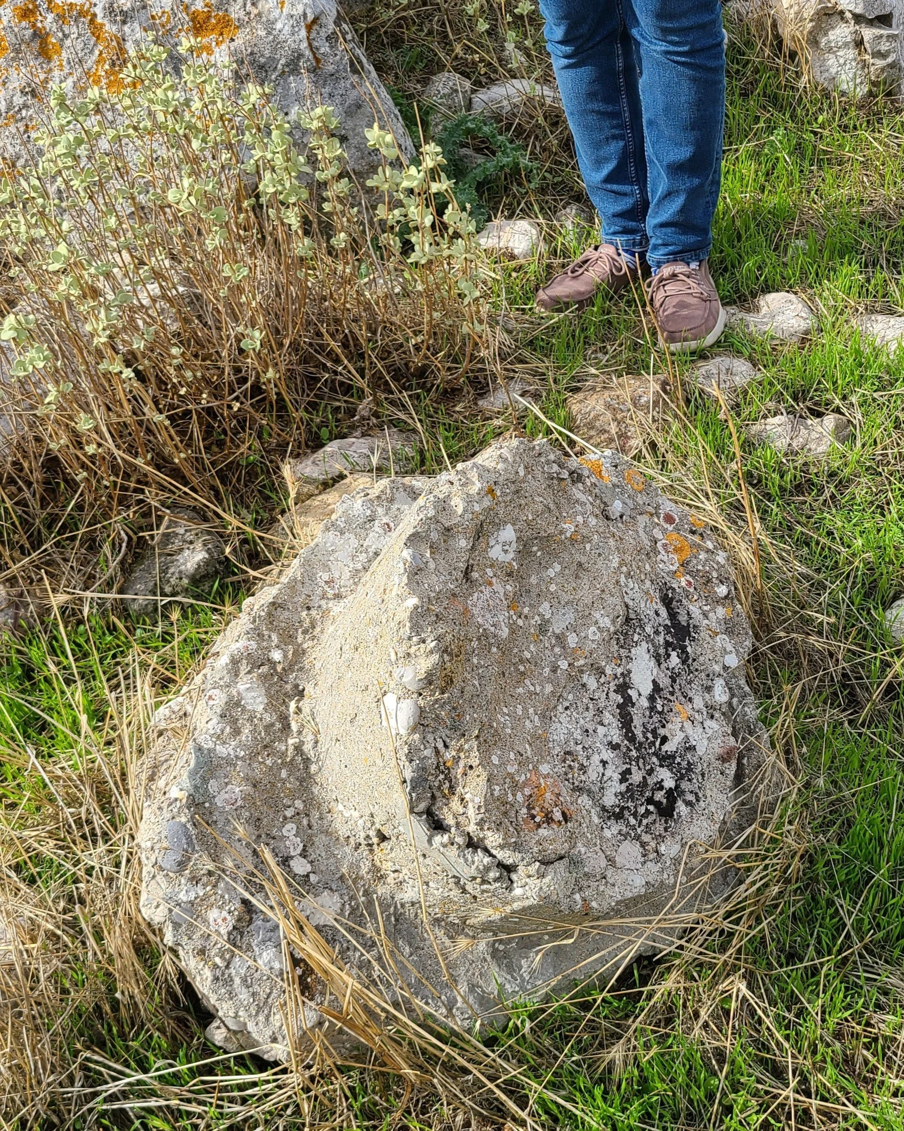 old, cement datum point set up by archaeologists
