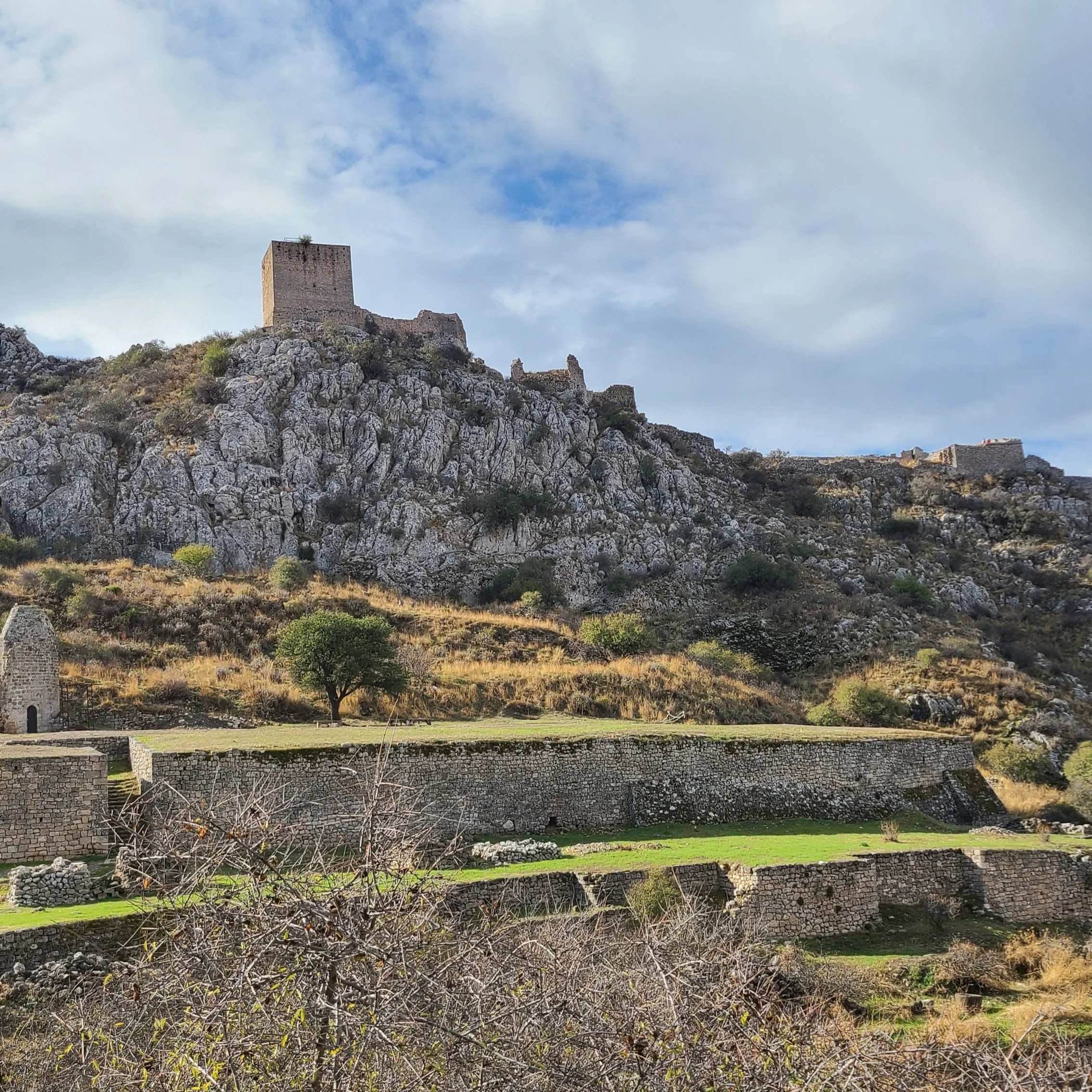 20251007_101919 terrace.jpg