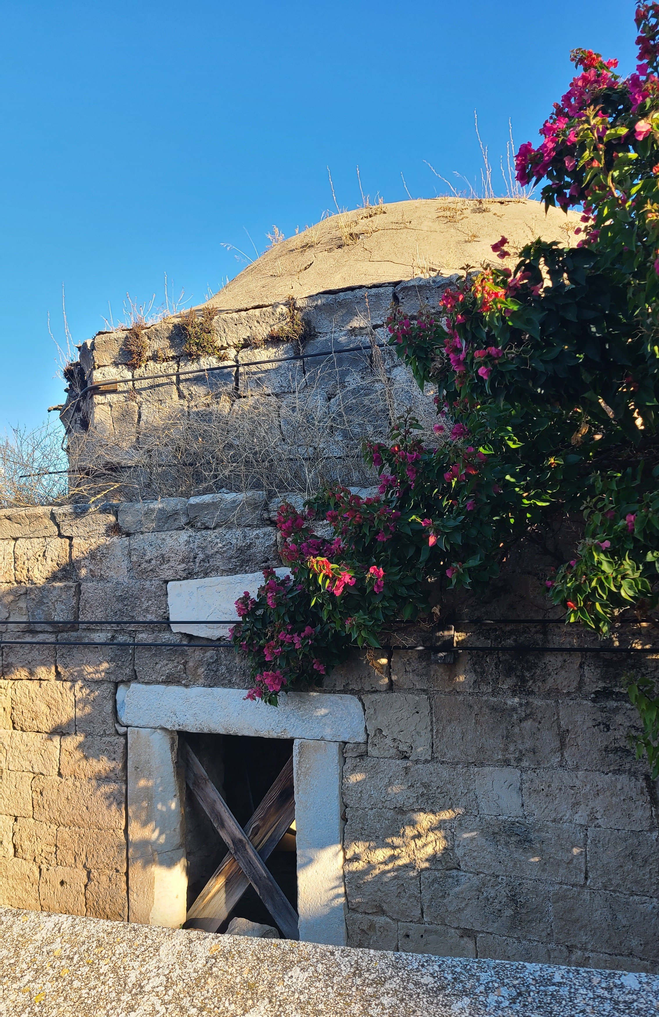 20251004_085051 mm.jpg