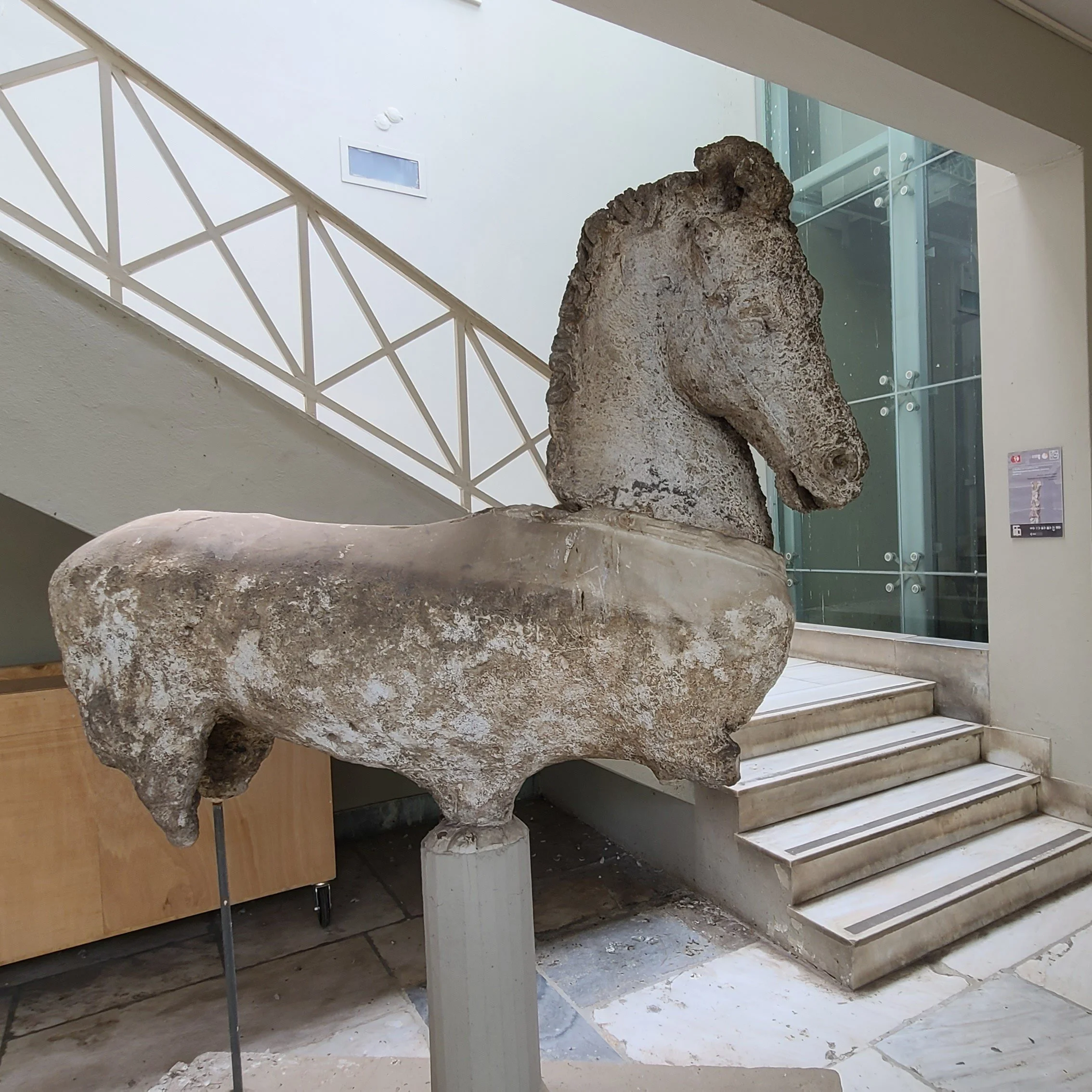 Marble statue of a life-size horse from a quadriga; the head does not certainly belong with the body [1]