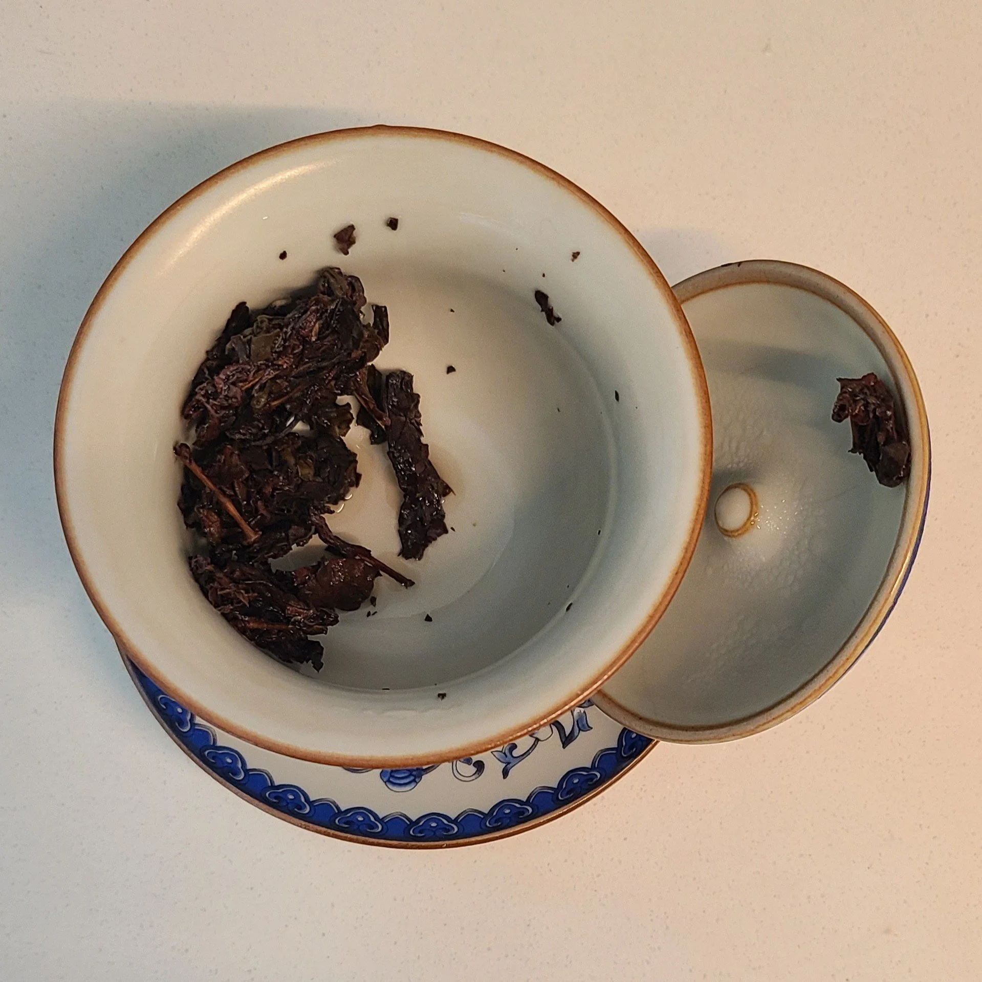 Wet leaf - after first infusion