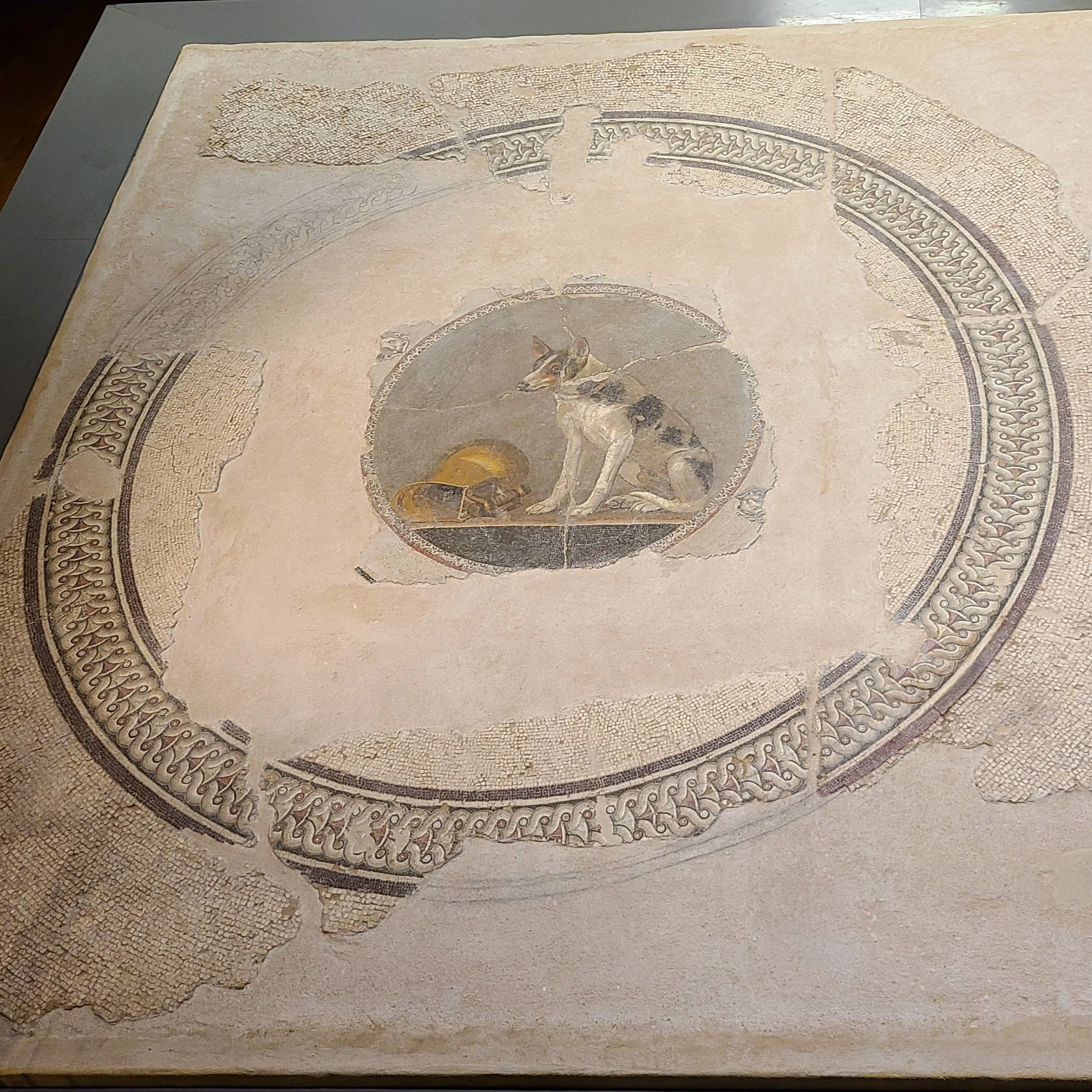 dog mosaic floor, Alexandria