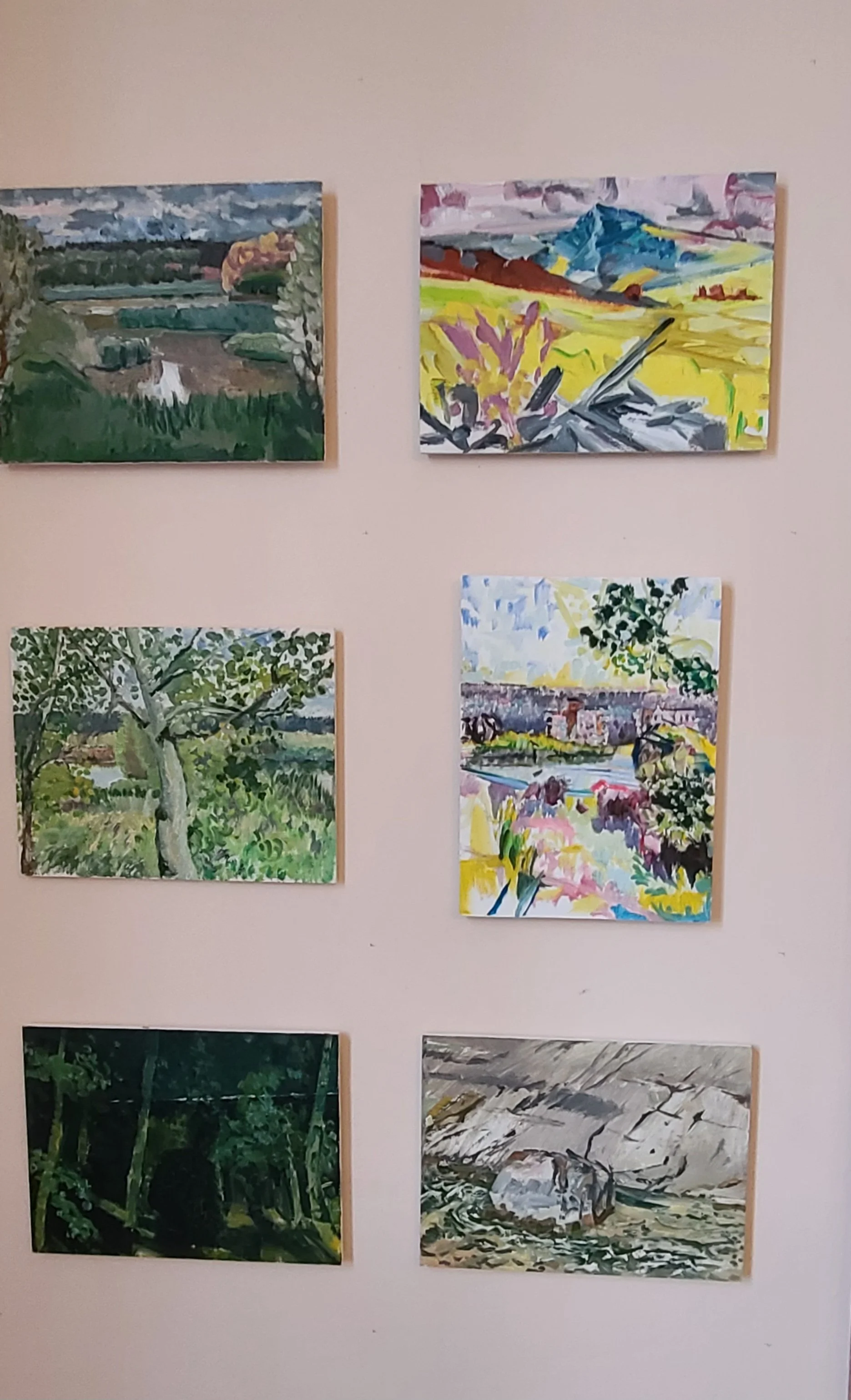 Nature Books and Art📗🎨