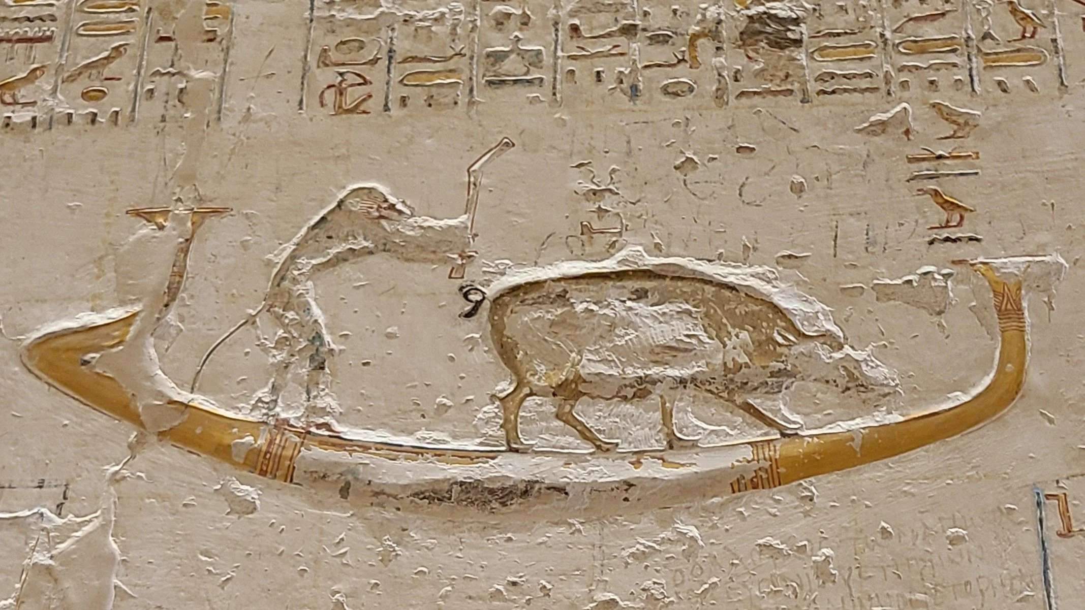 20251022_103715 monkey pig 169.jpg