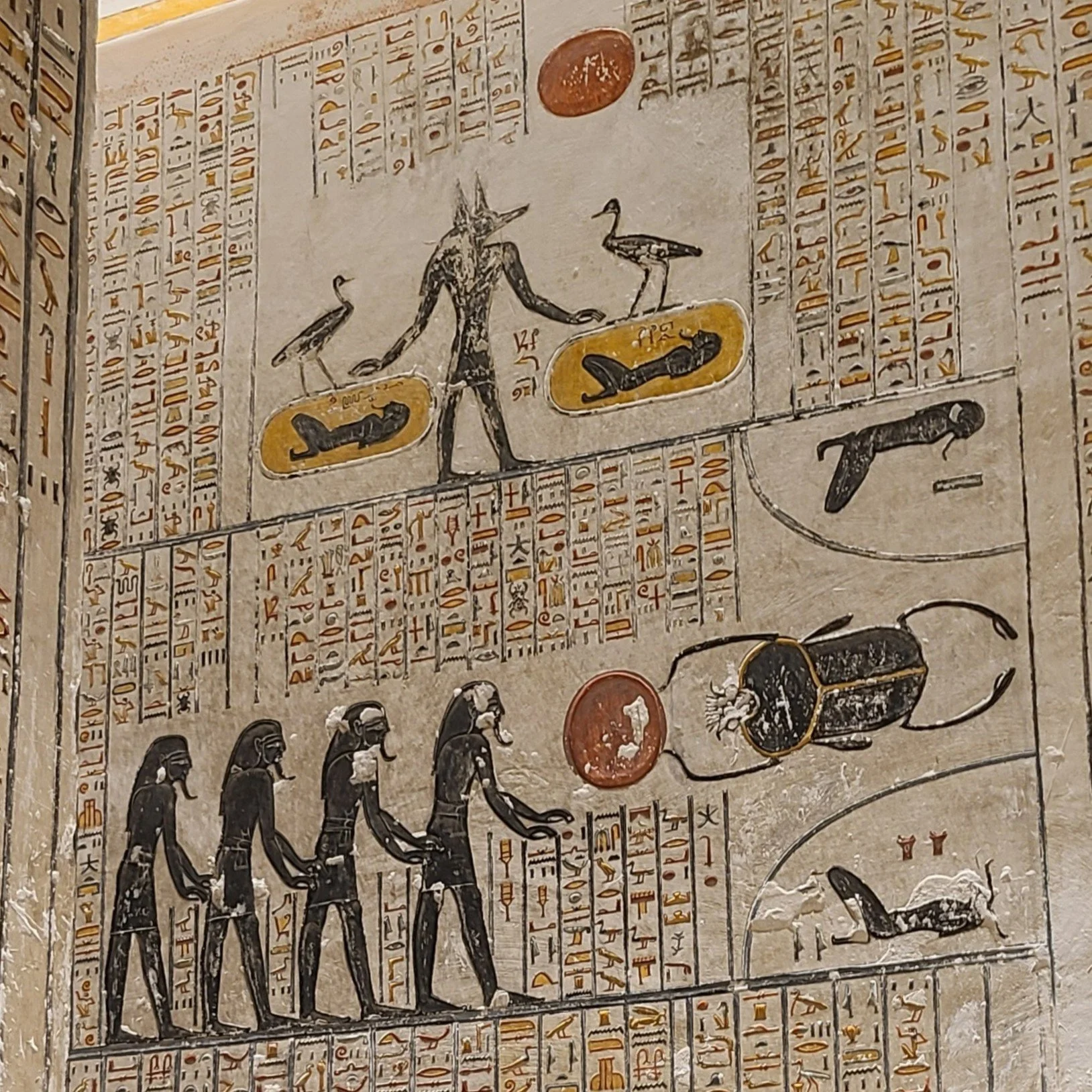 20251022_103013 sq.jpg