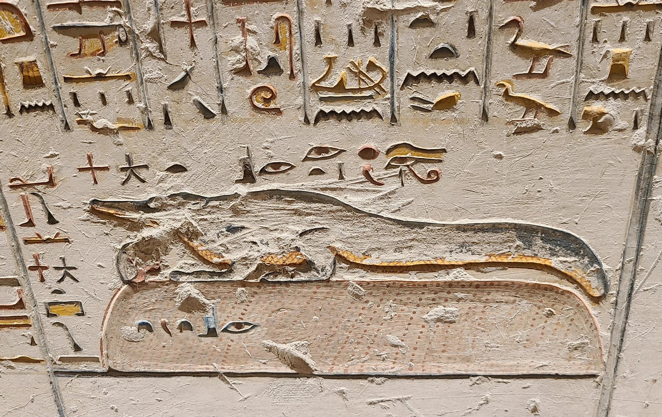 20251022_103045 croc RV_VI.jpg