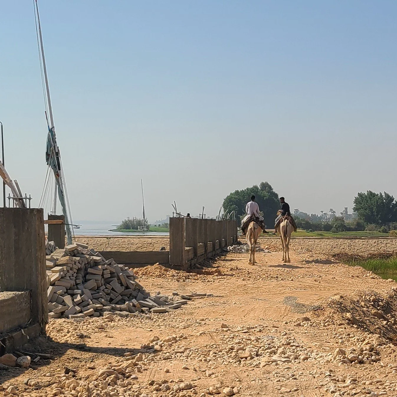 20251029_110046 camel.jpg