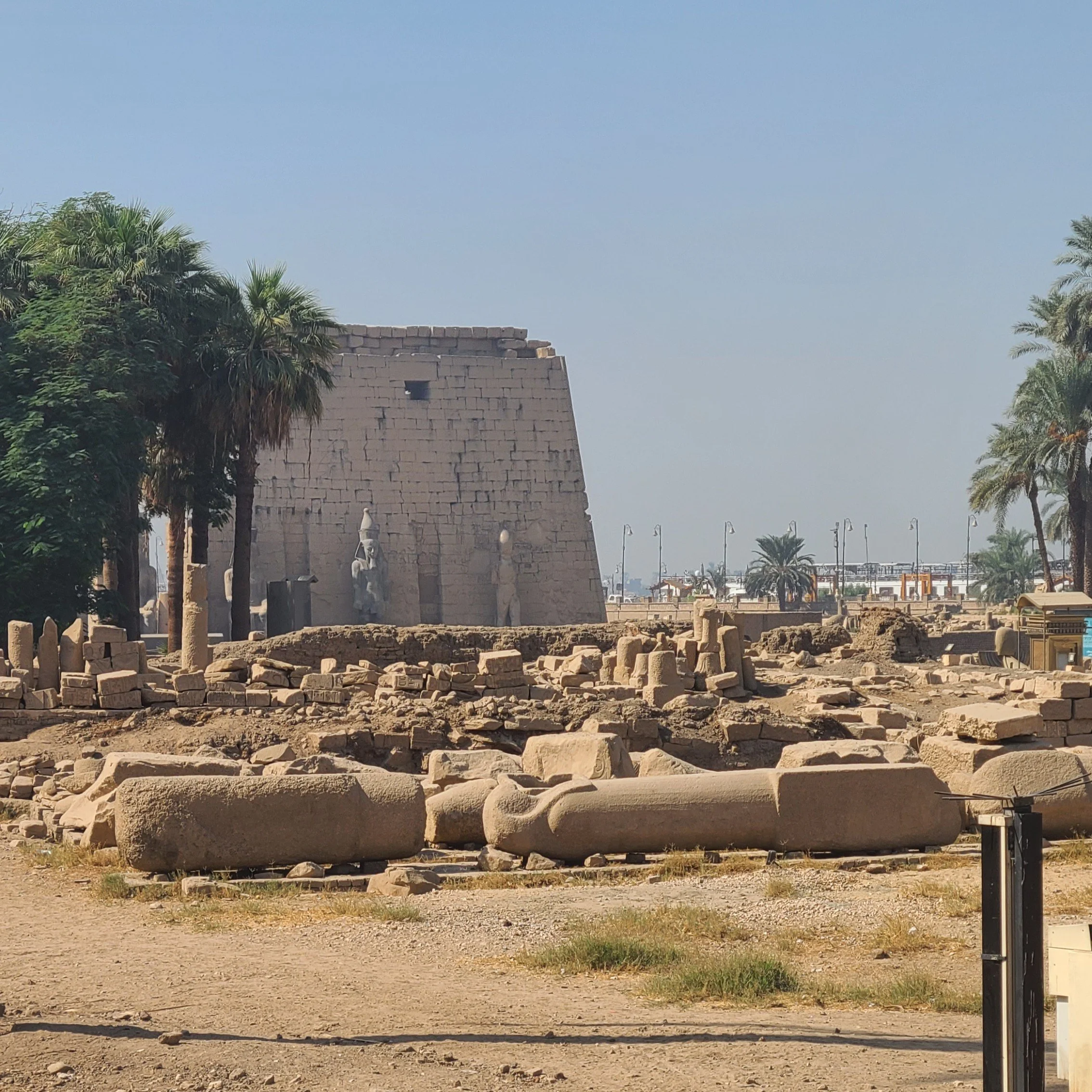 20251027_110428 luxor t.jpg