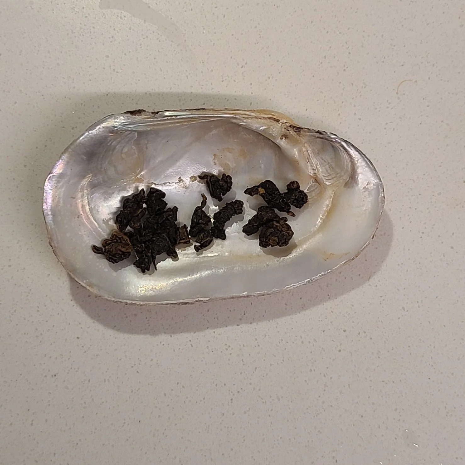 Organic GABA Oolong - dry leaves