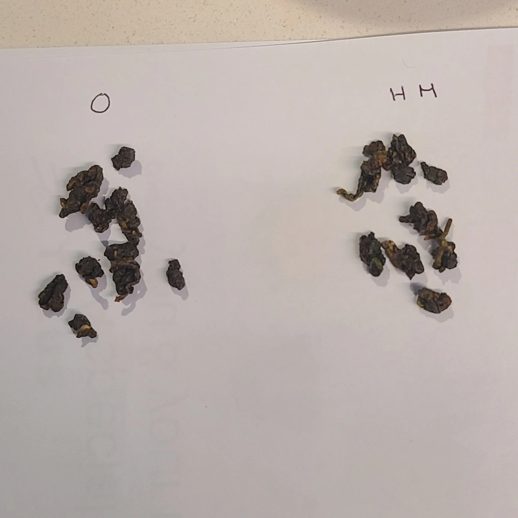 Organic (left) / High Mountain (right) - dry
