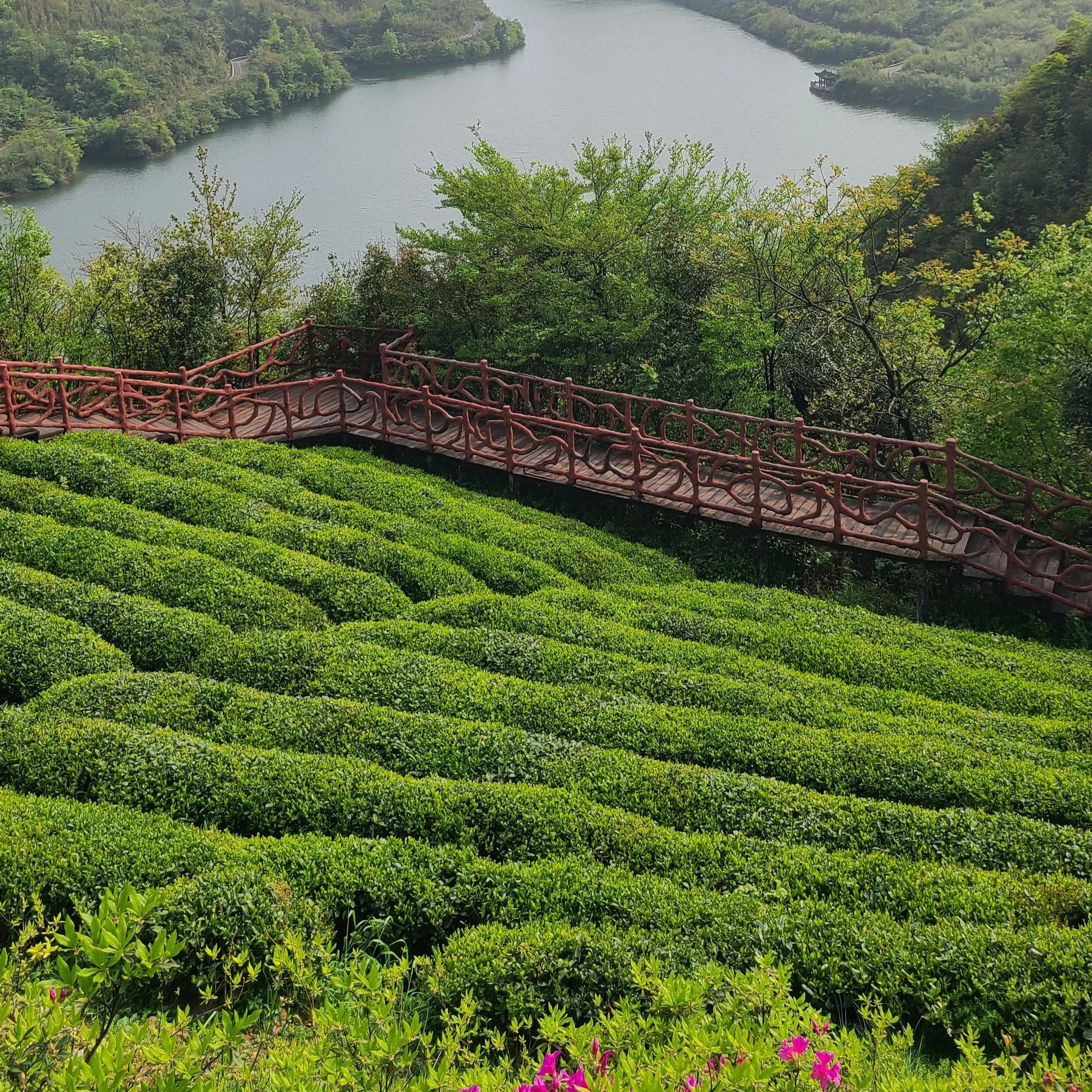 Experiencing Guizhou 1