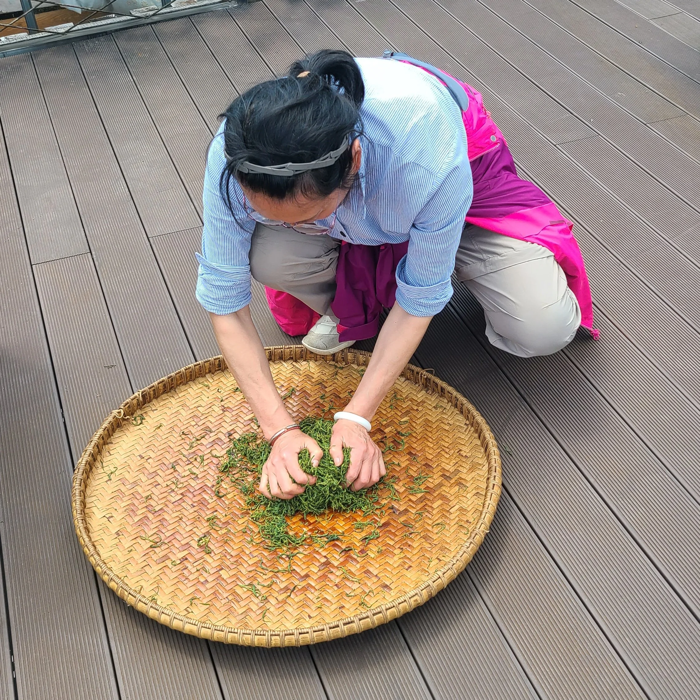 Jianli rolling leaves for black tea (we all took turns)