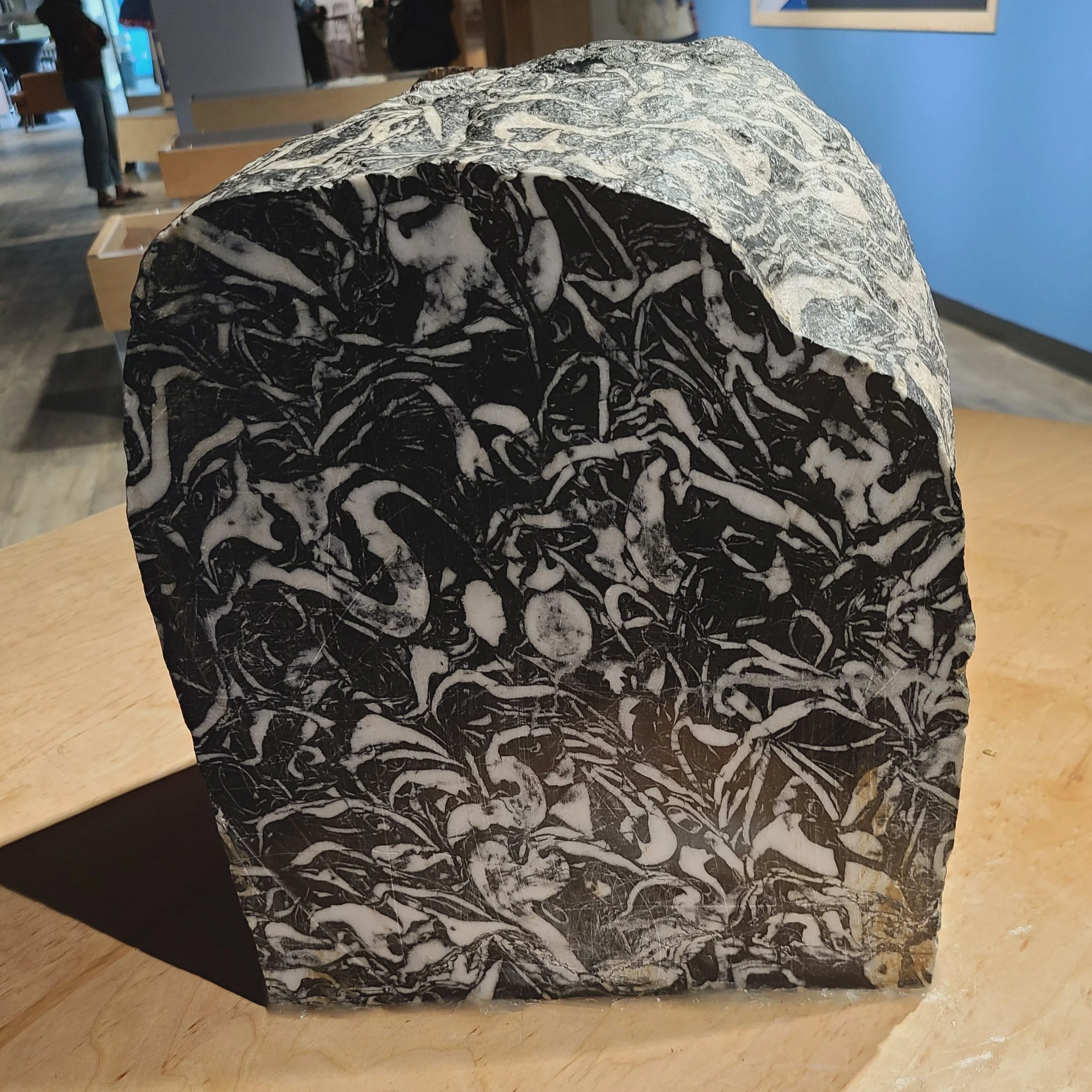 Fossiliferous Limestone, N Alaska Highway