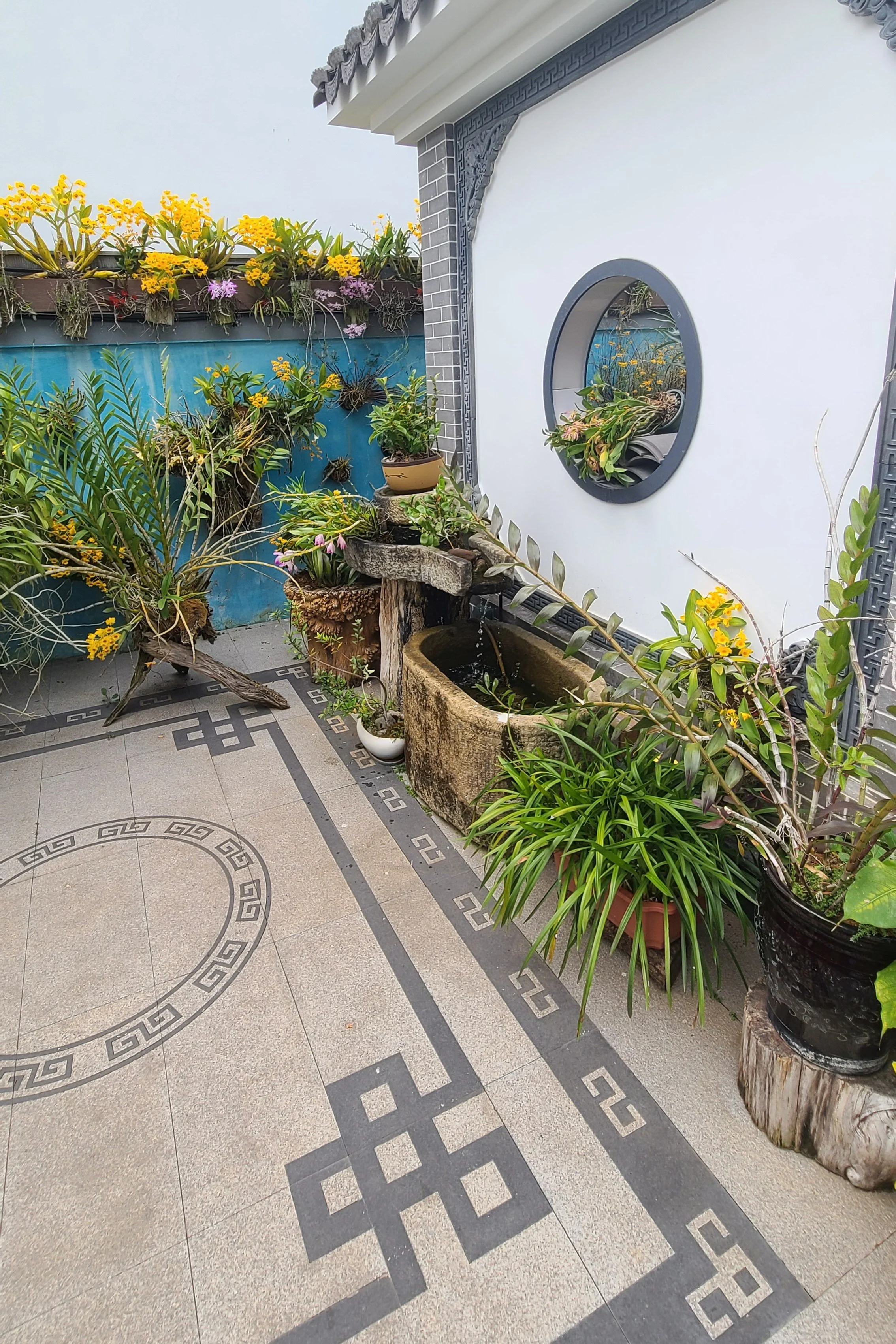 garden