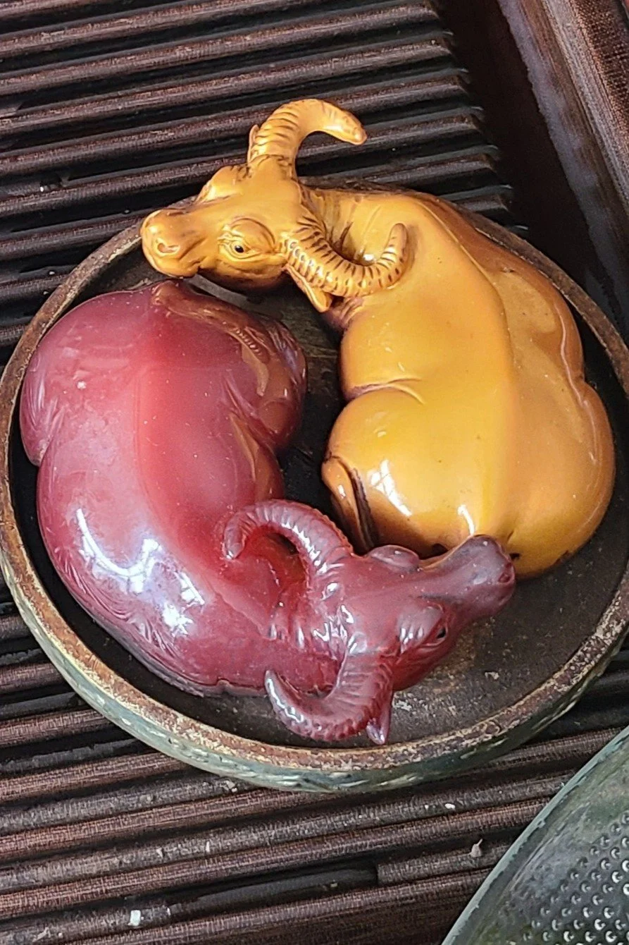 water buffalo tea pets