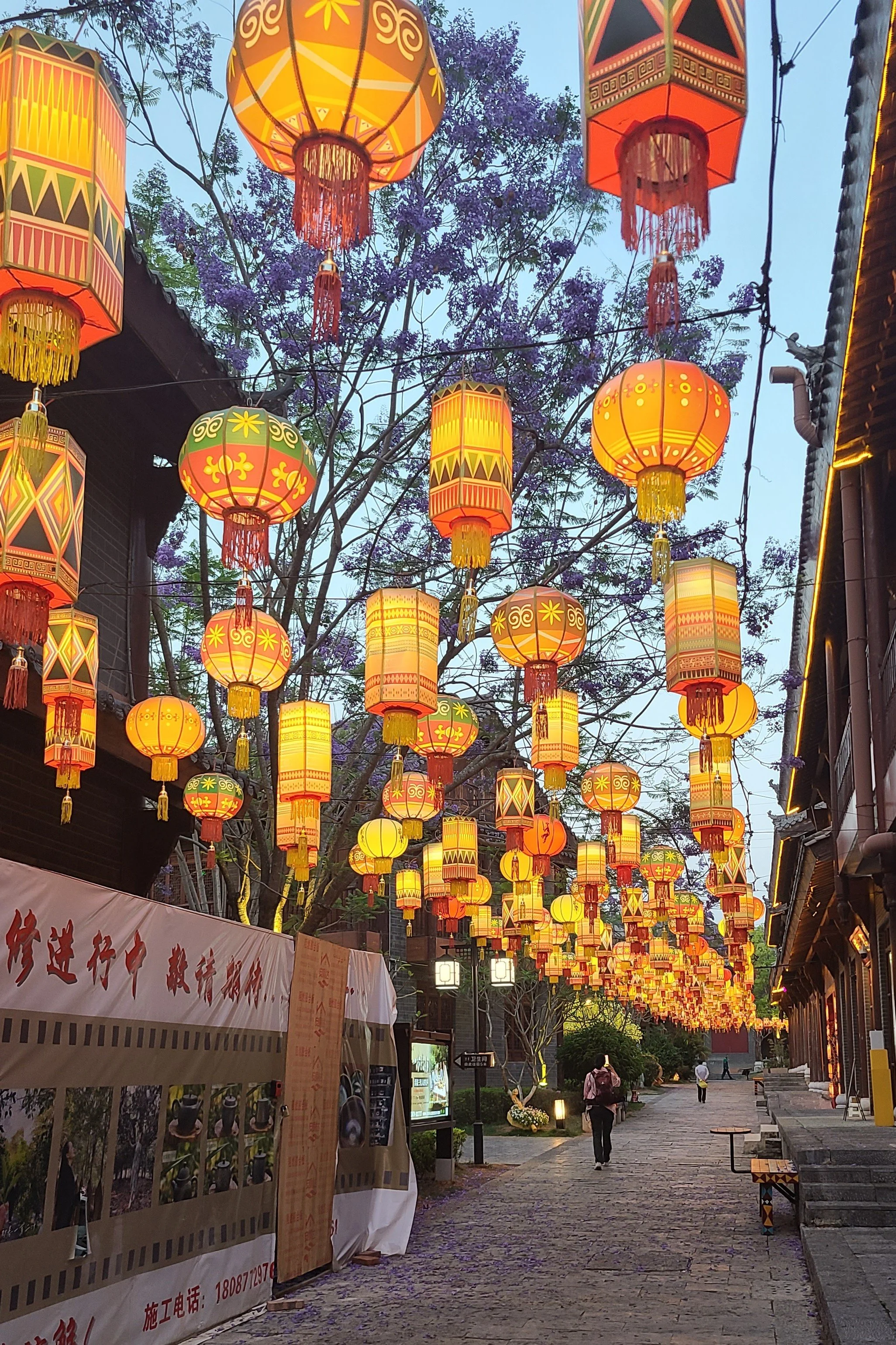 20260422_193508 lanterns 23.jpg