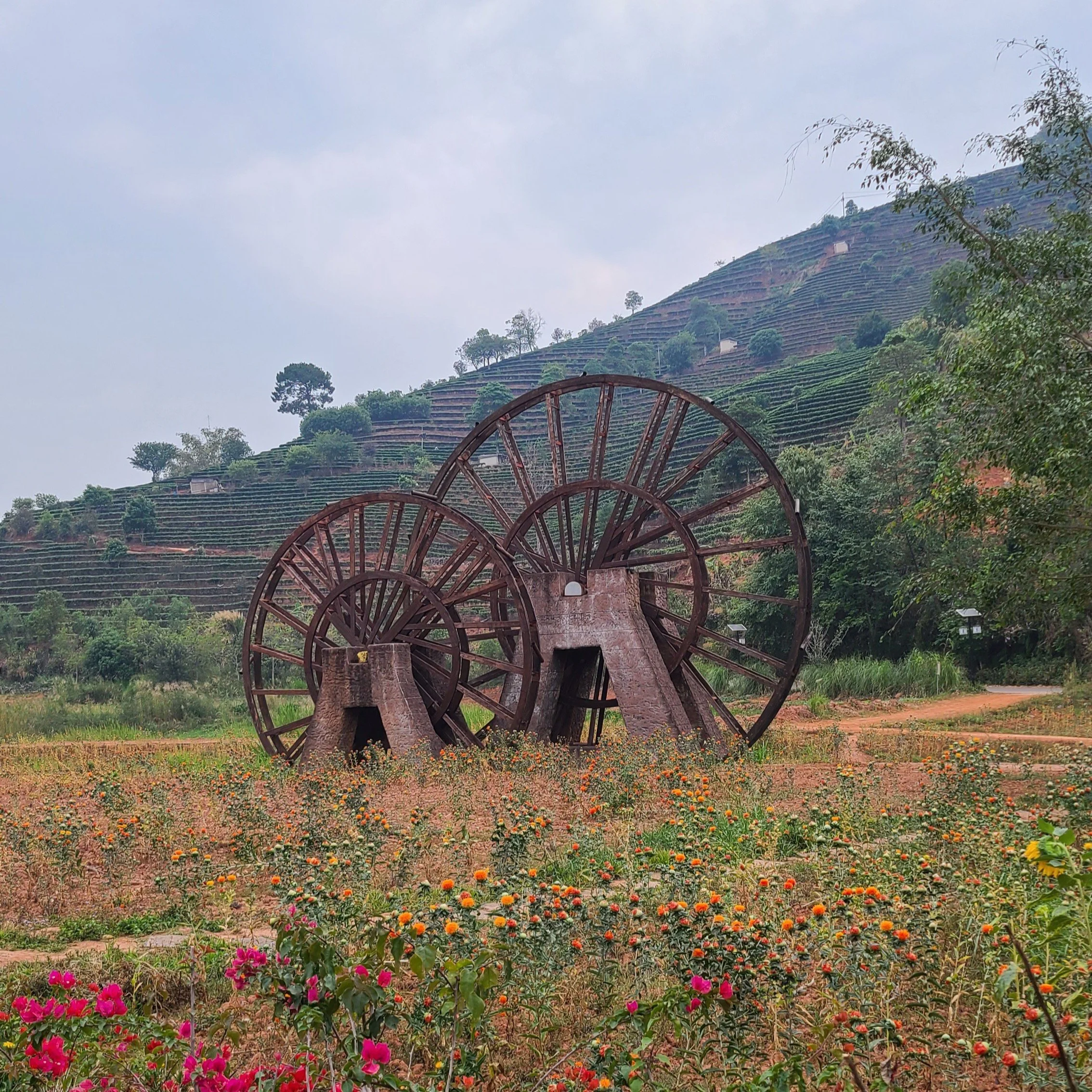 As you start the hike you pass this beautiful old wooden waterwheel