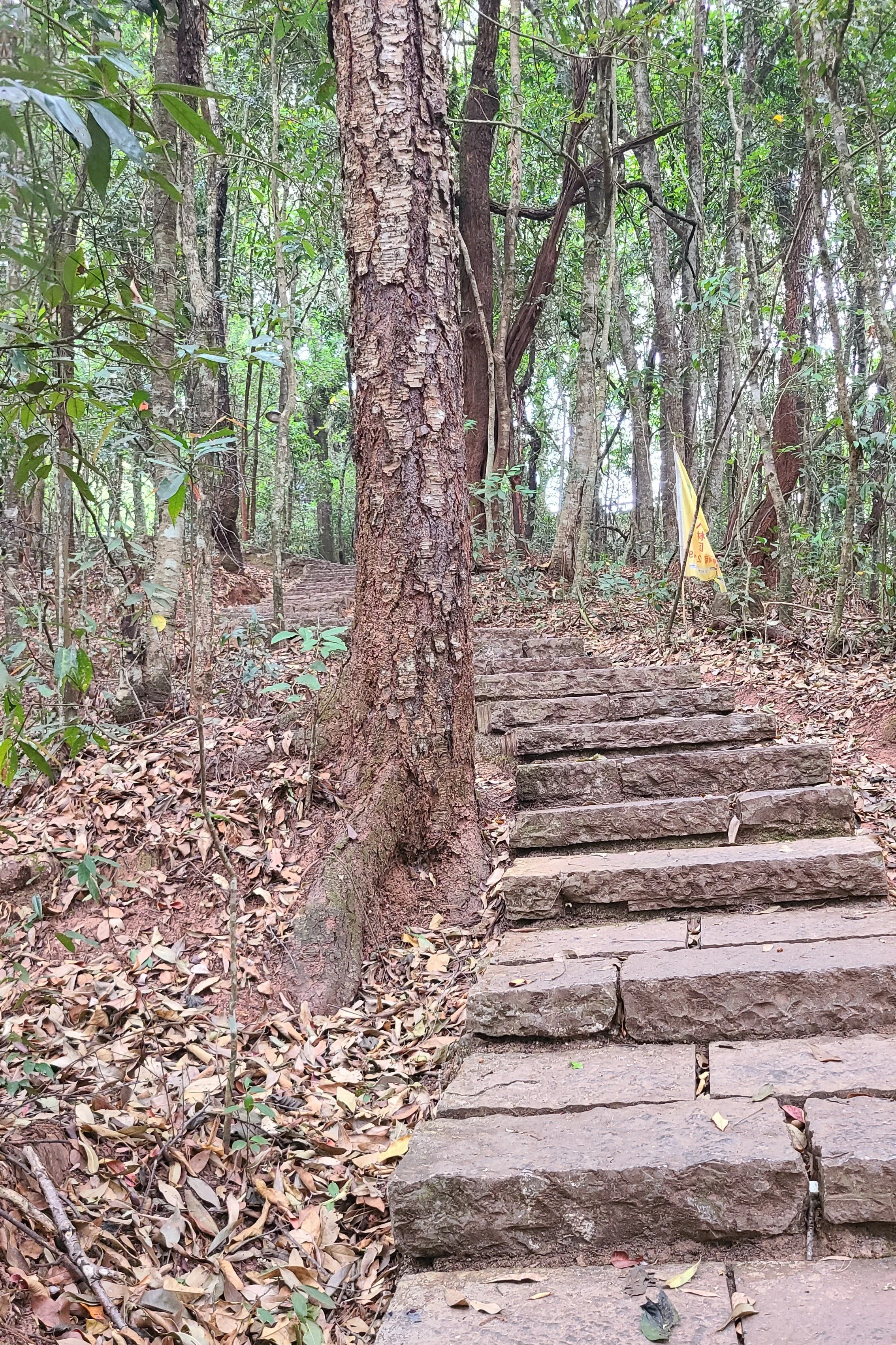 Continuing the climb