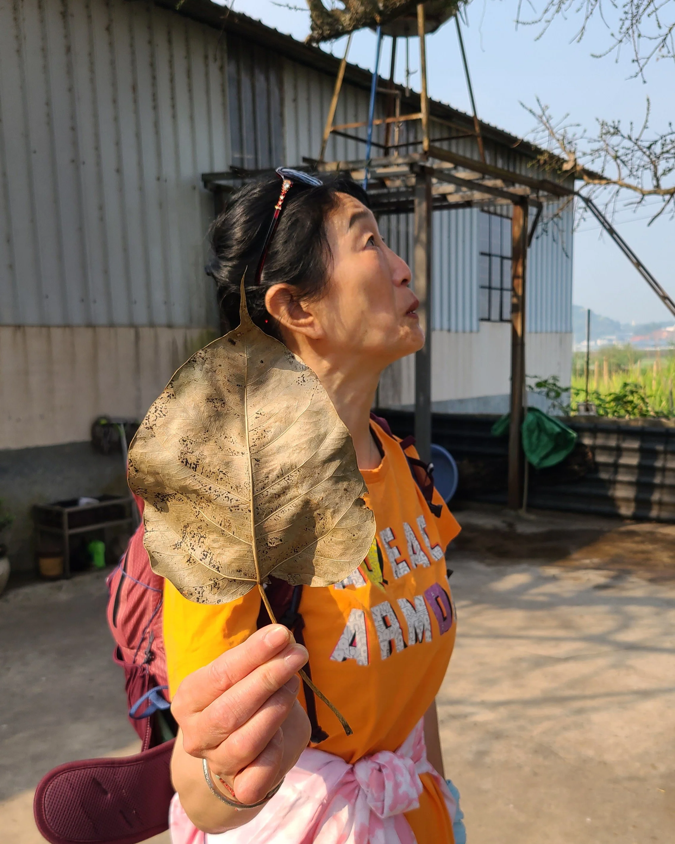 Jianli holding up one of the leaves