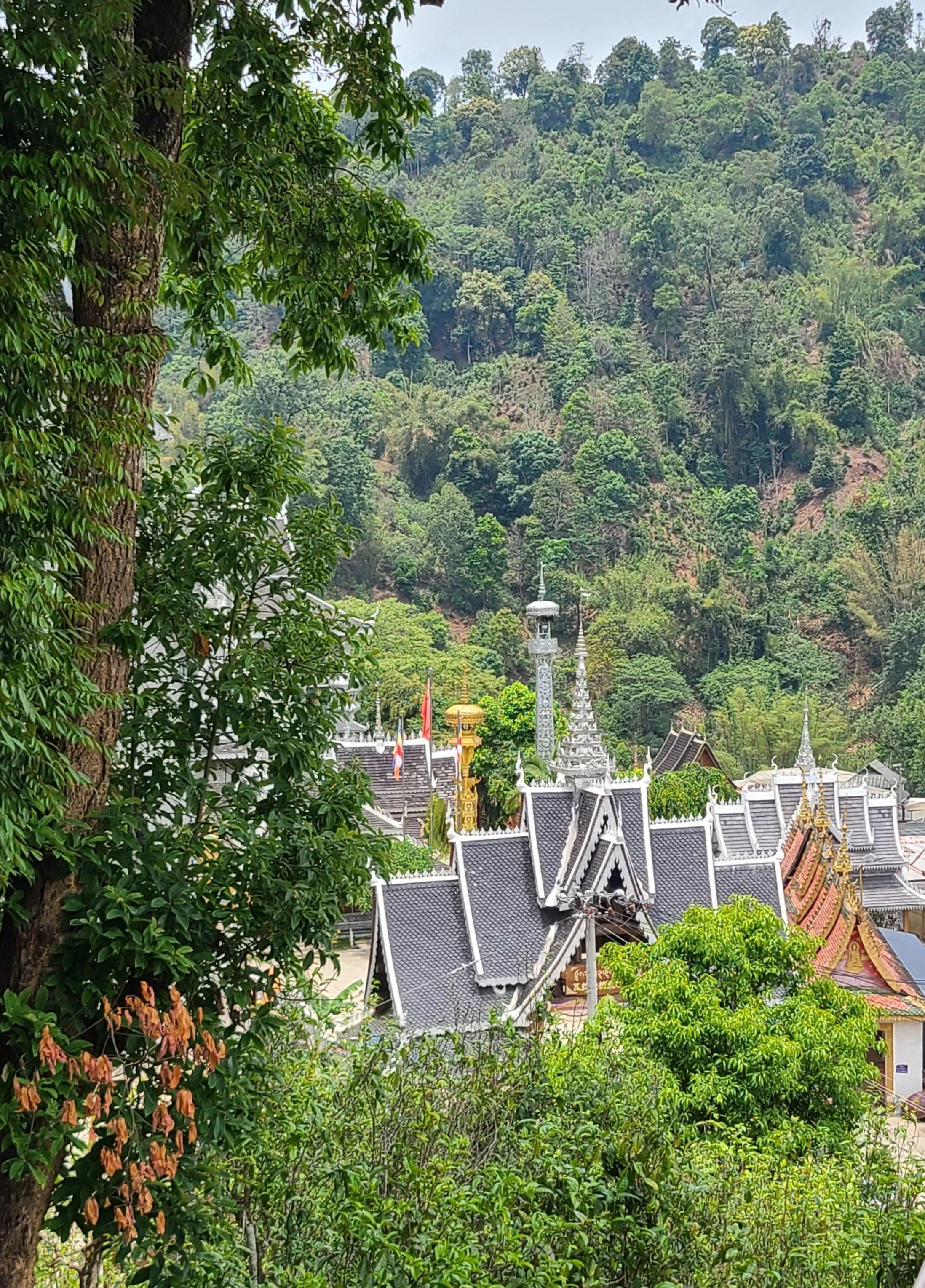 20260426_133850 temple.jpg