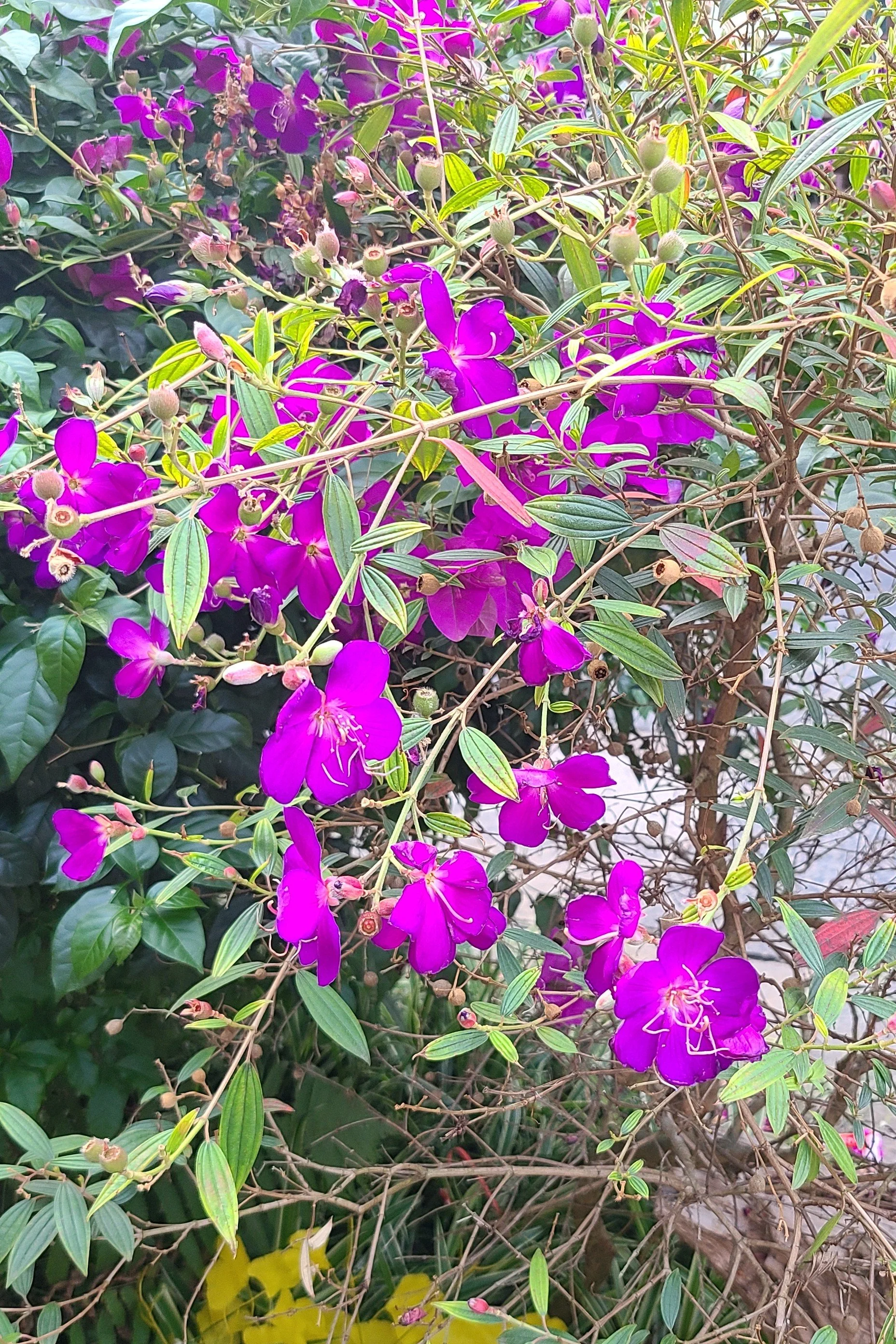 20260422_184910 purple.jpg