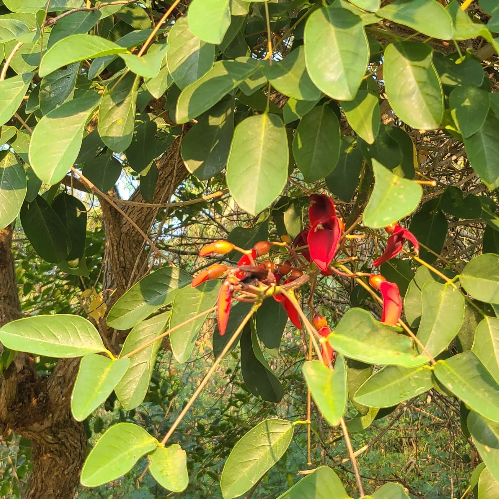 20260422_182201 red.jpg