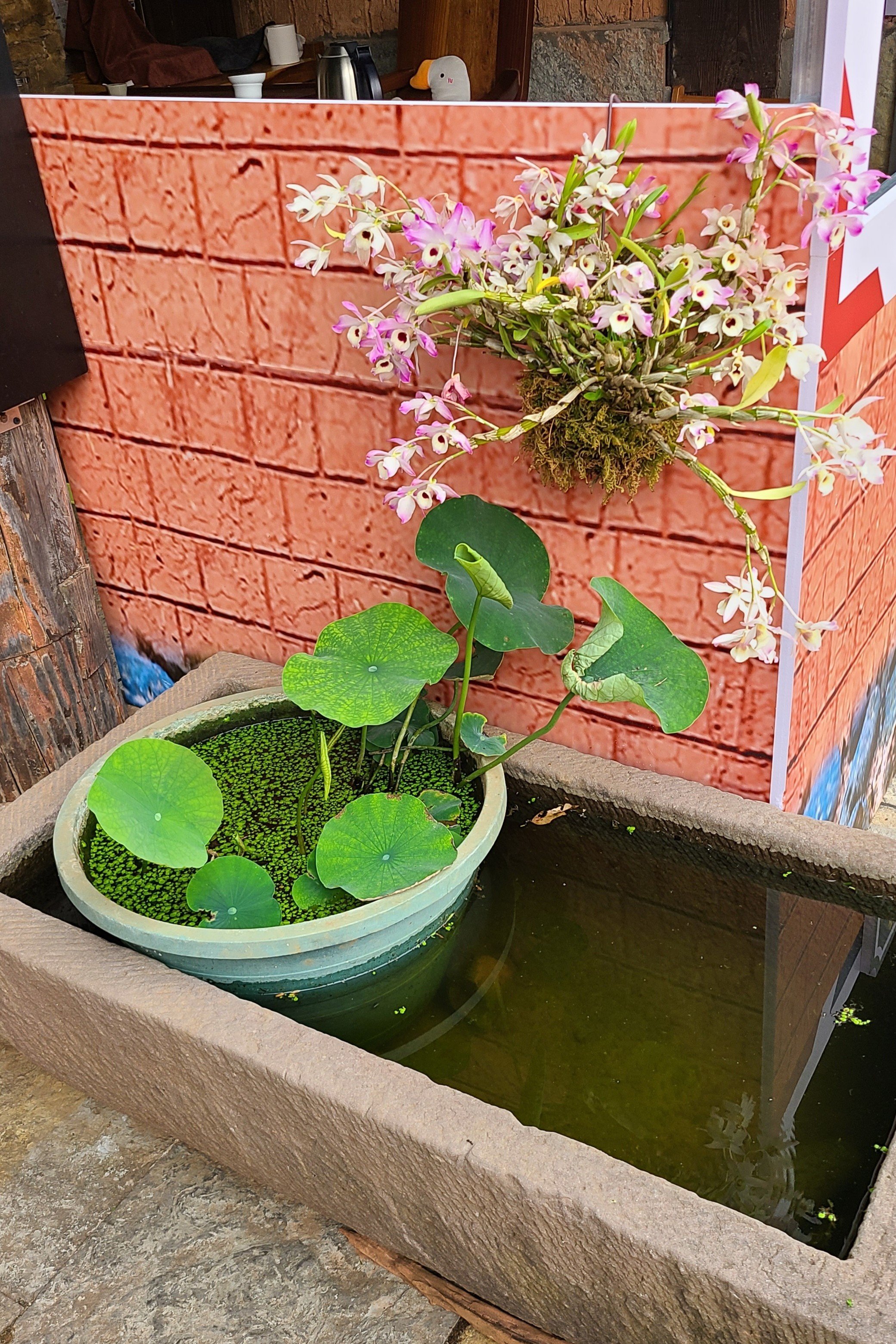 20260423_100057 pond 23.jpg