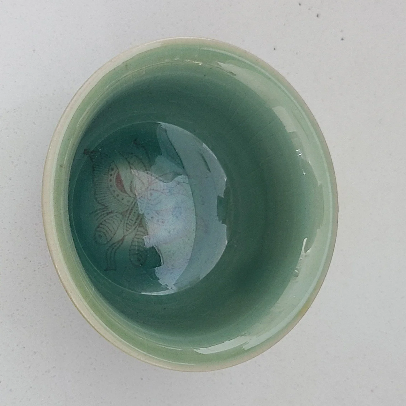 20260501_124508.jpg