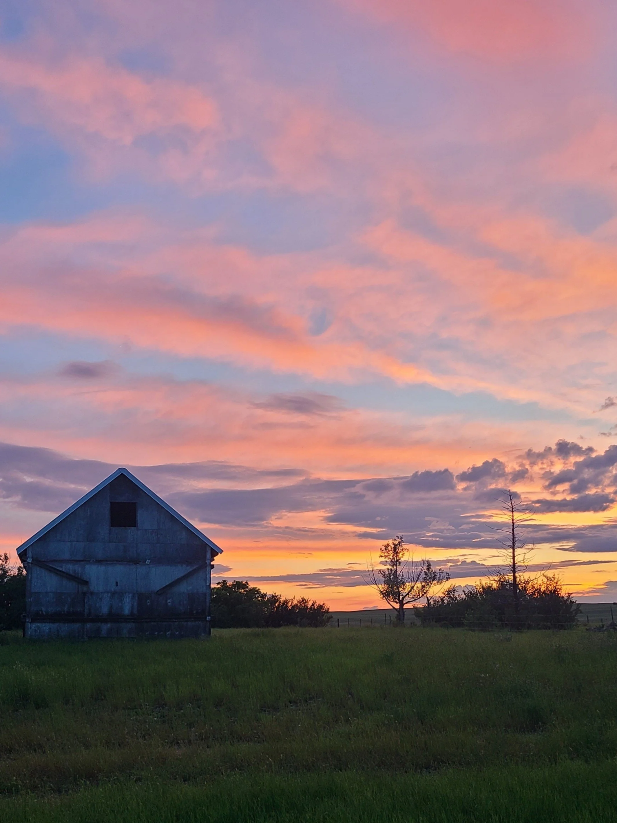 stunning sunset - southern Sask